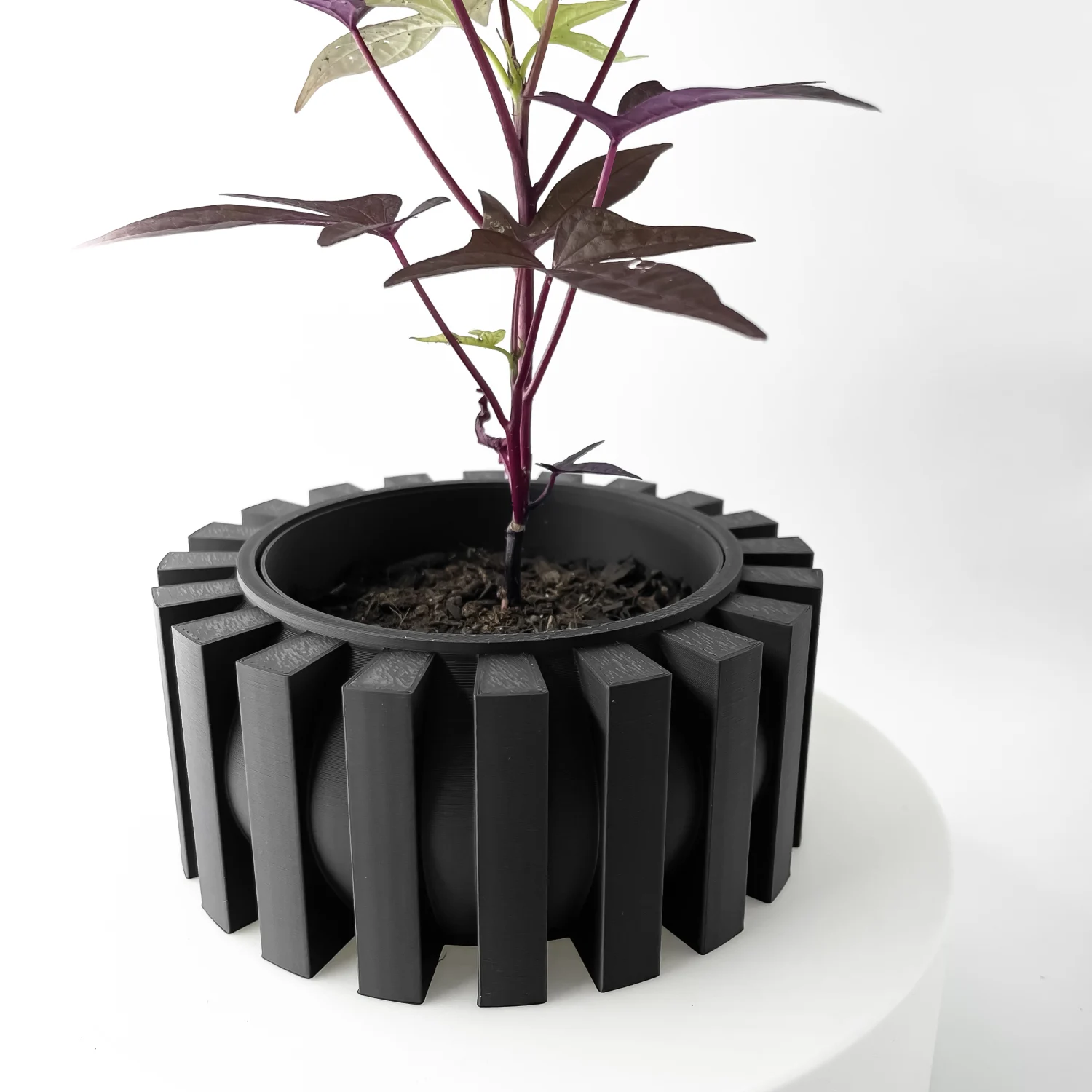The Elvix Pot - Image 6