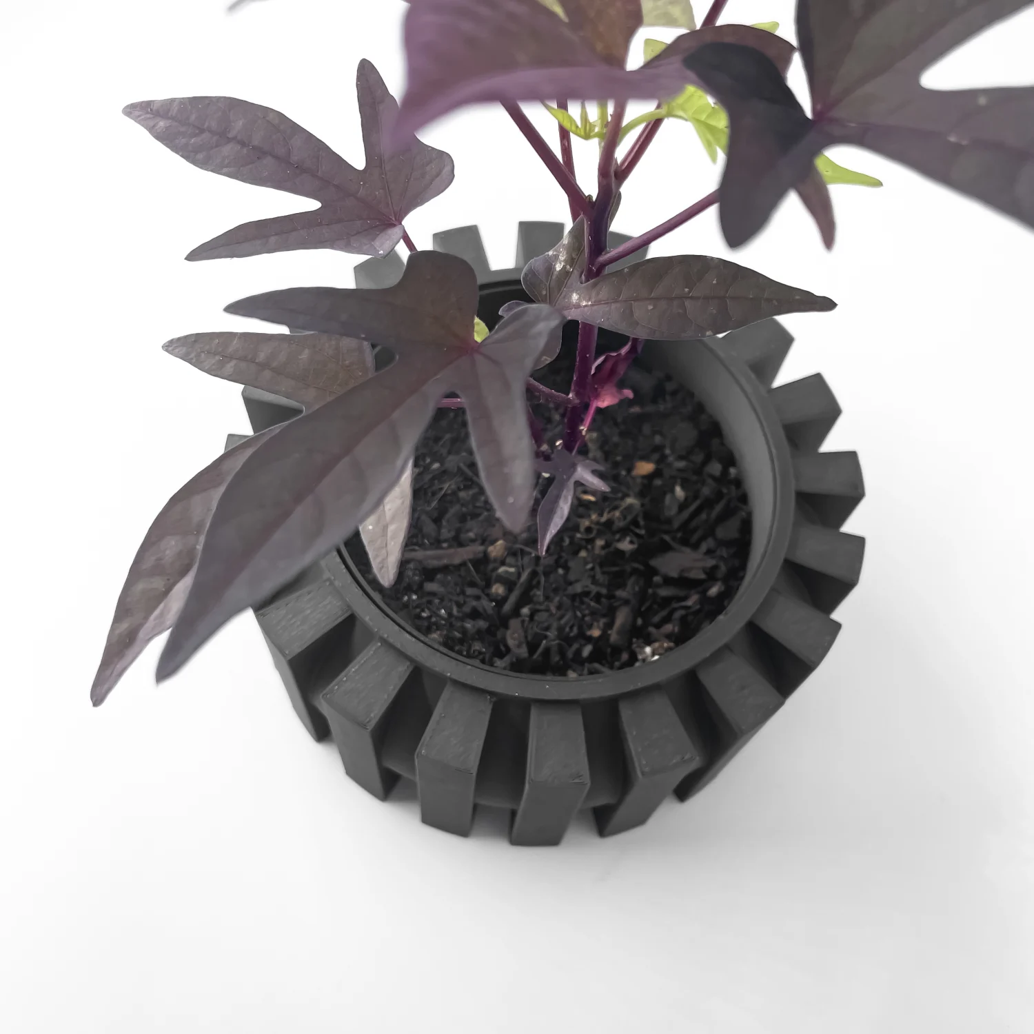 The Elvix Pot - Image 5