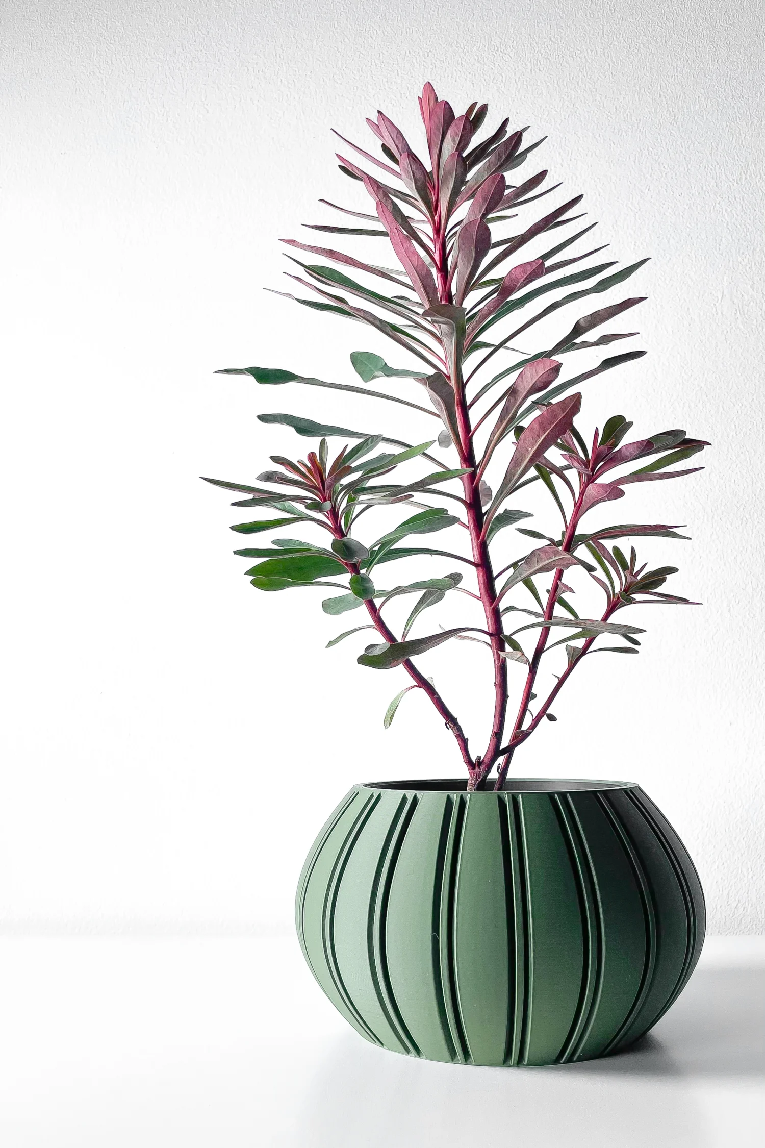 The Evara Pot - Image 7