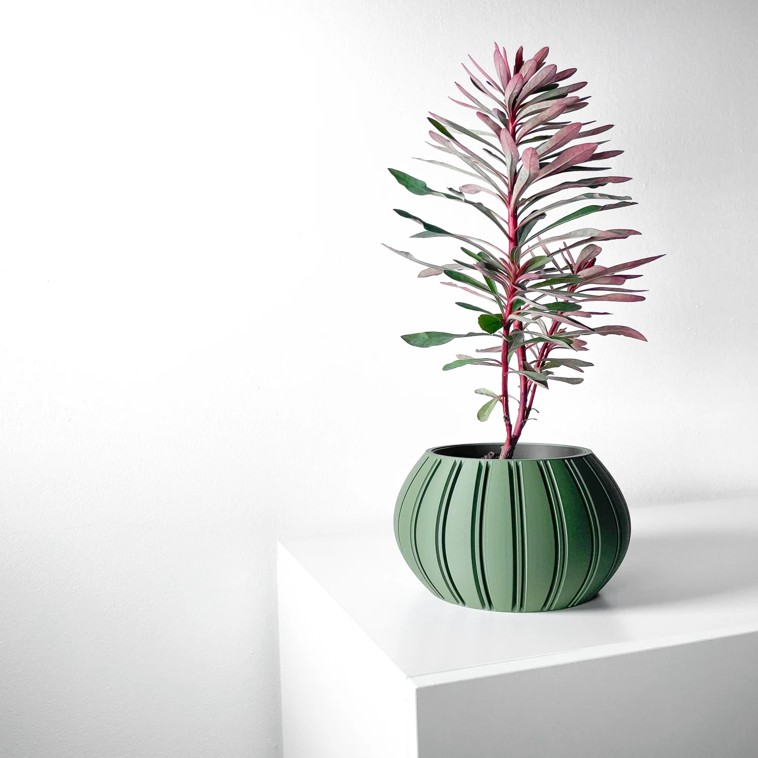 The Evara Pot - Image 6