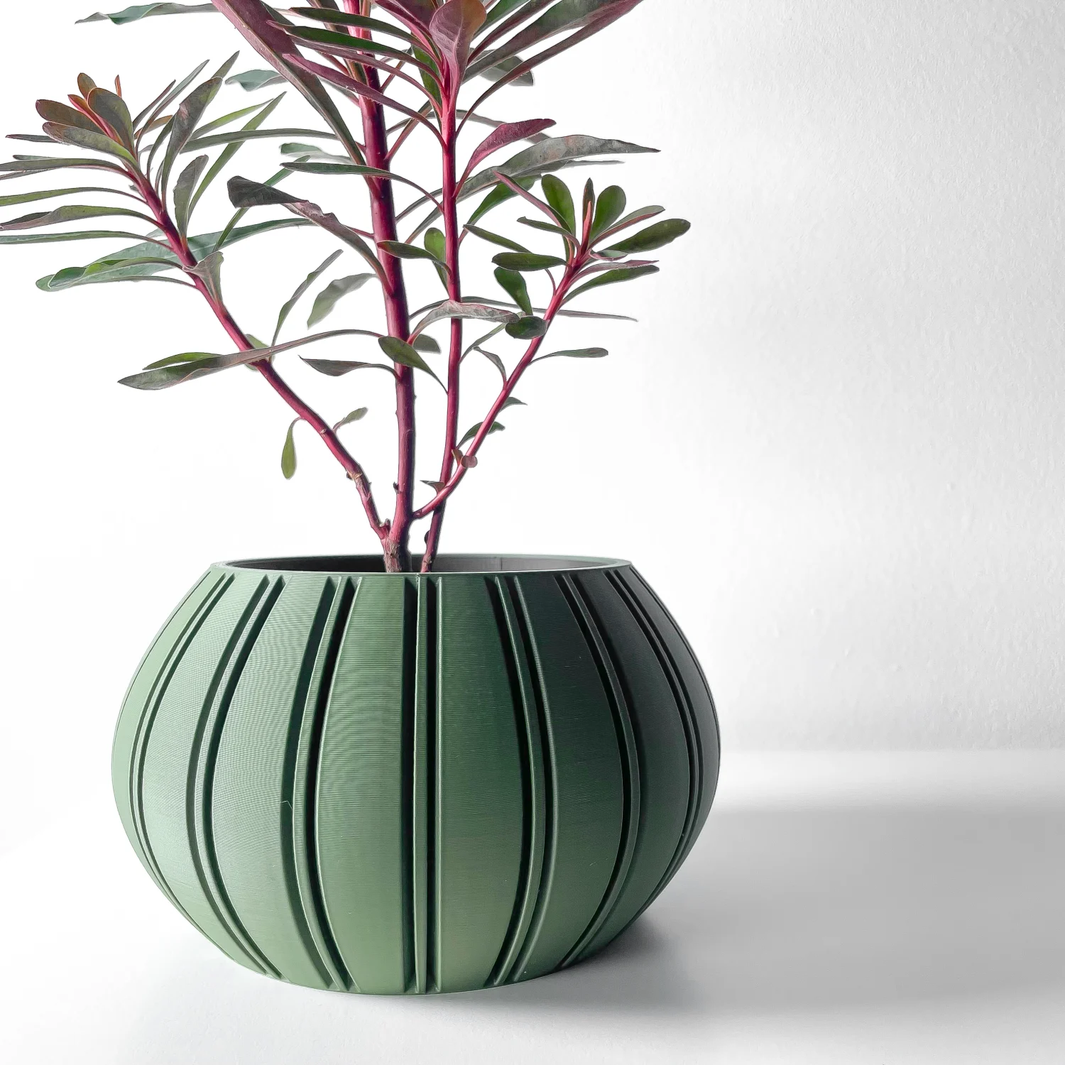 The Evara Pot - Image 5