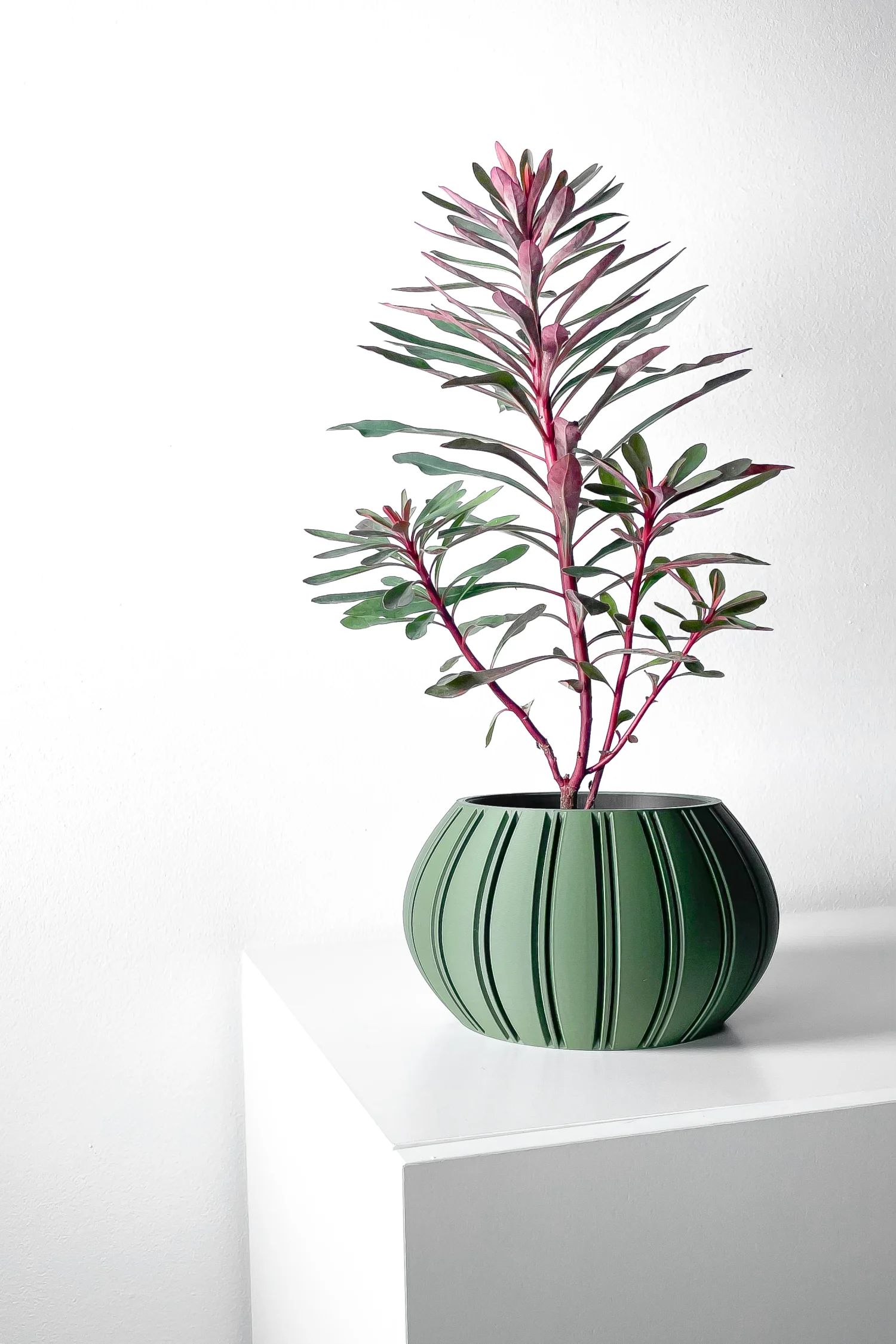 The Evara Pot - Image 8