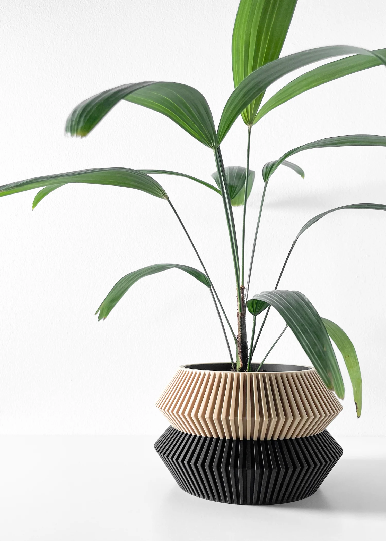 The Evergreen Pot - Image 7