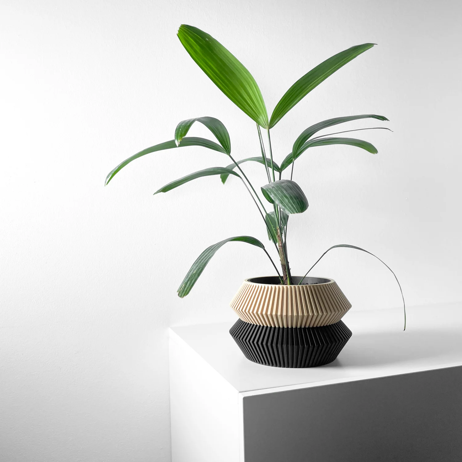 The Evergreen Pot - Image 5