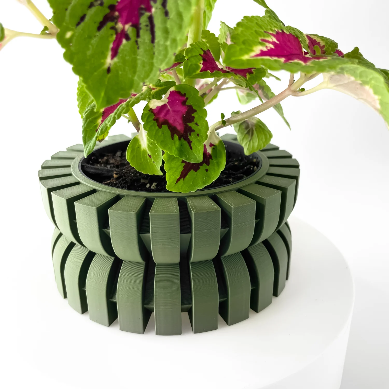 The Falven Pot - Image 6