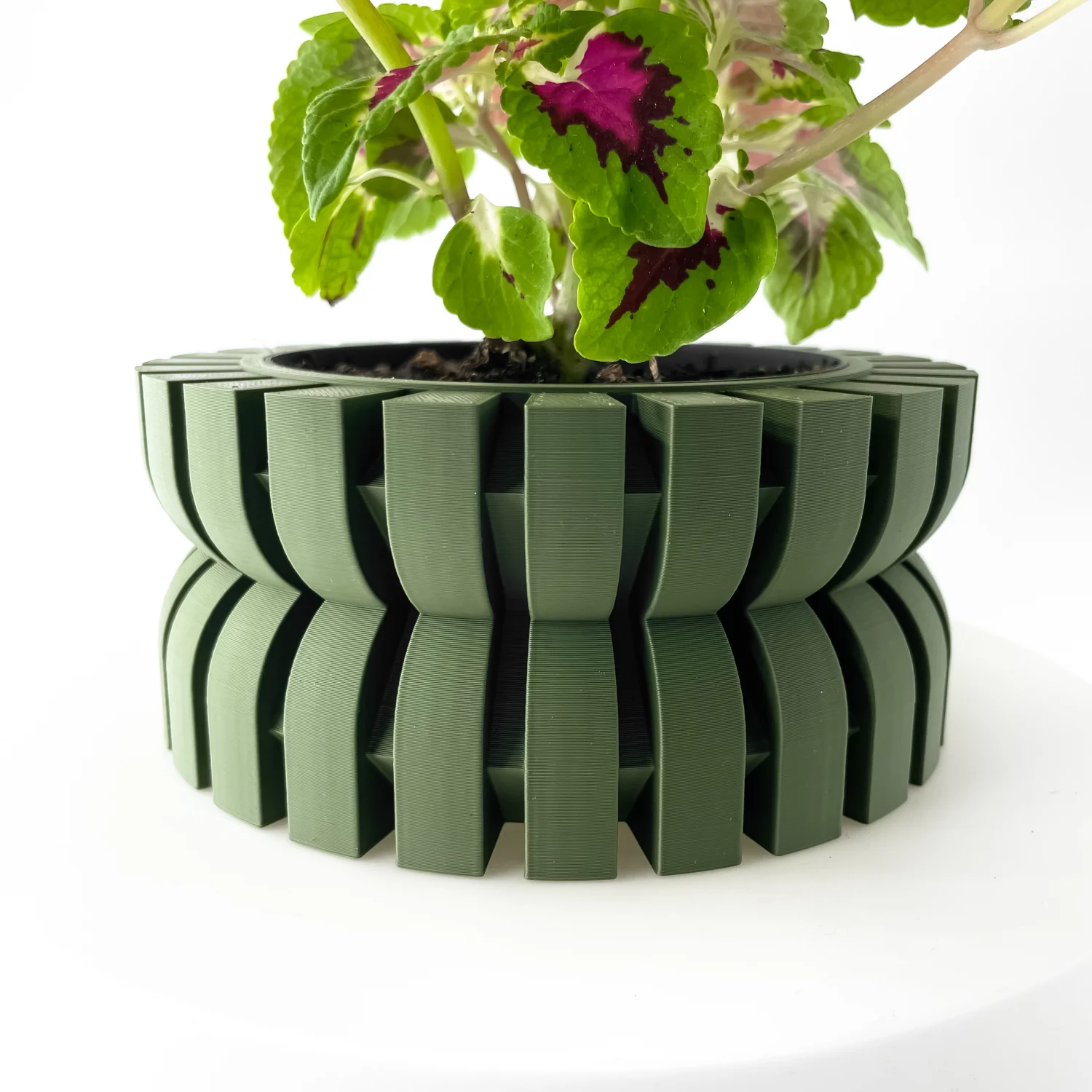 The Falven Pot - Image 5