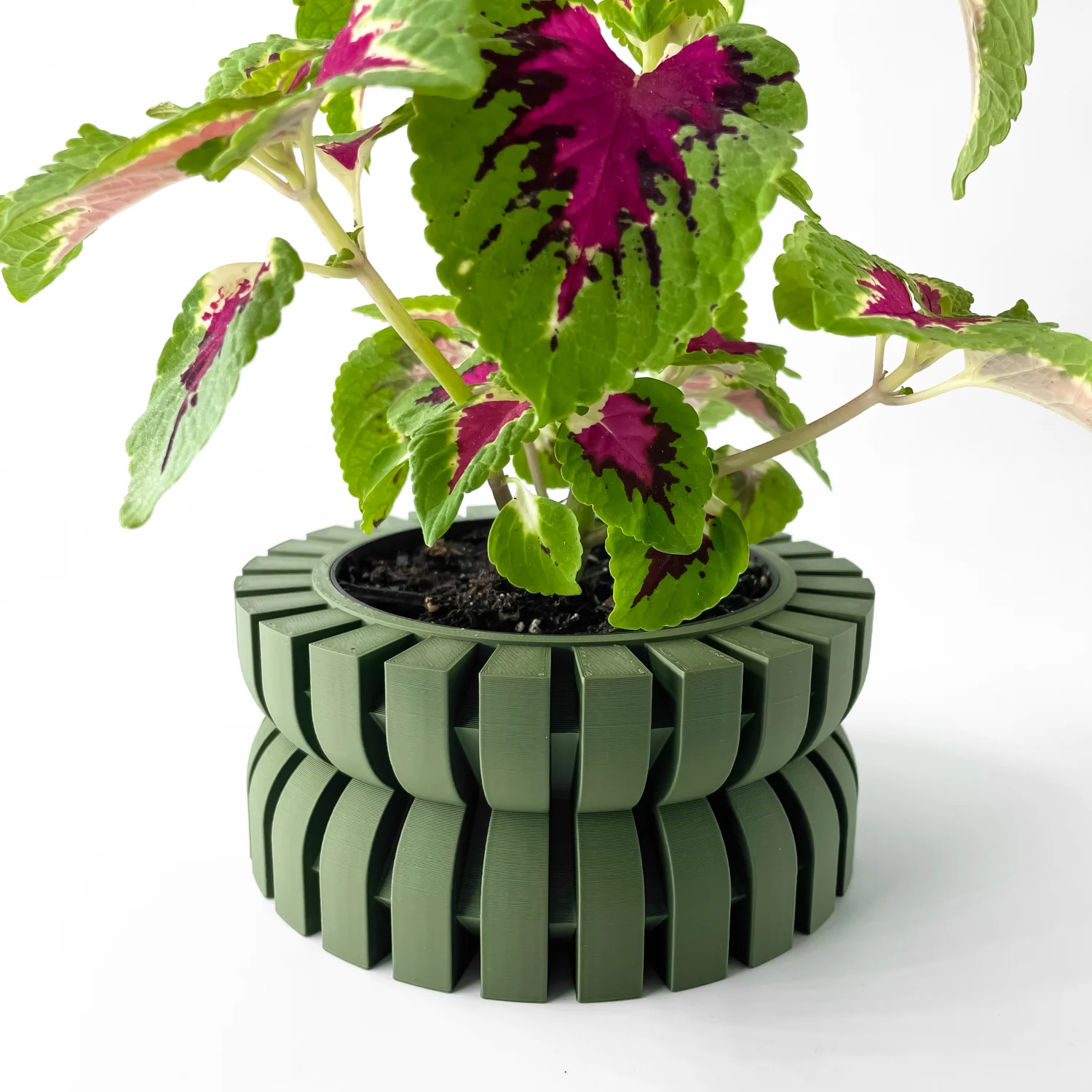 The Falven Pot - Image 2
