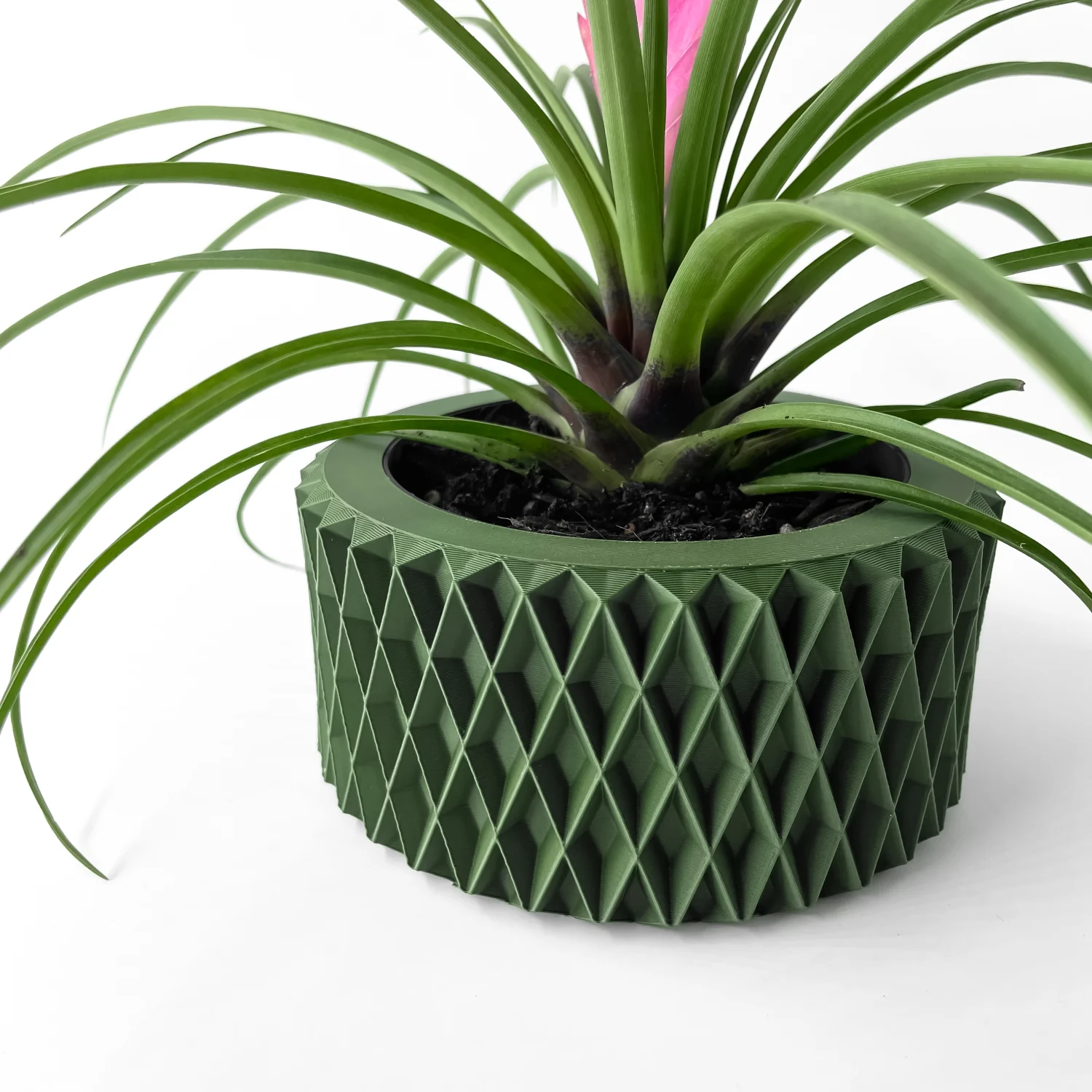 The Falvion Pot - Image 6