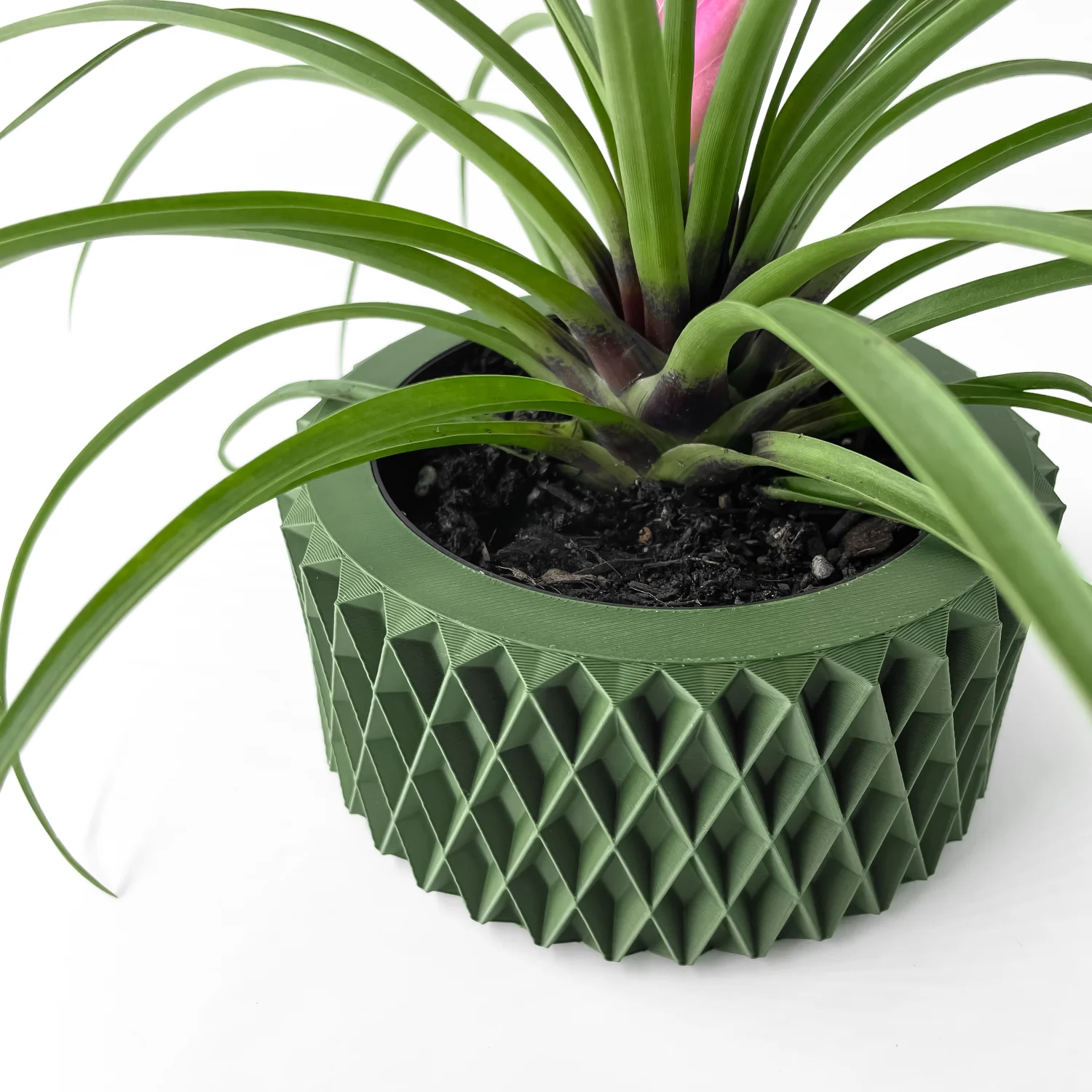 The Falvion Pot - Image 7