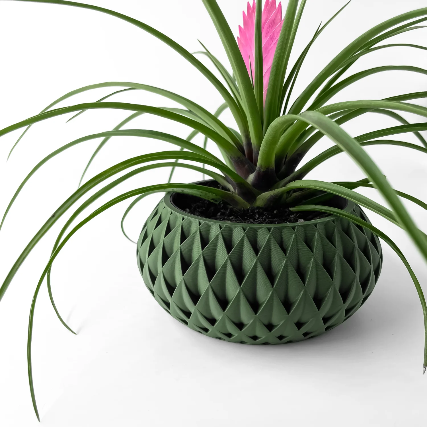 The Figleaf  Pot - Image 7