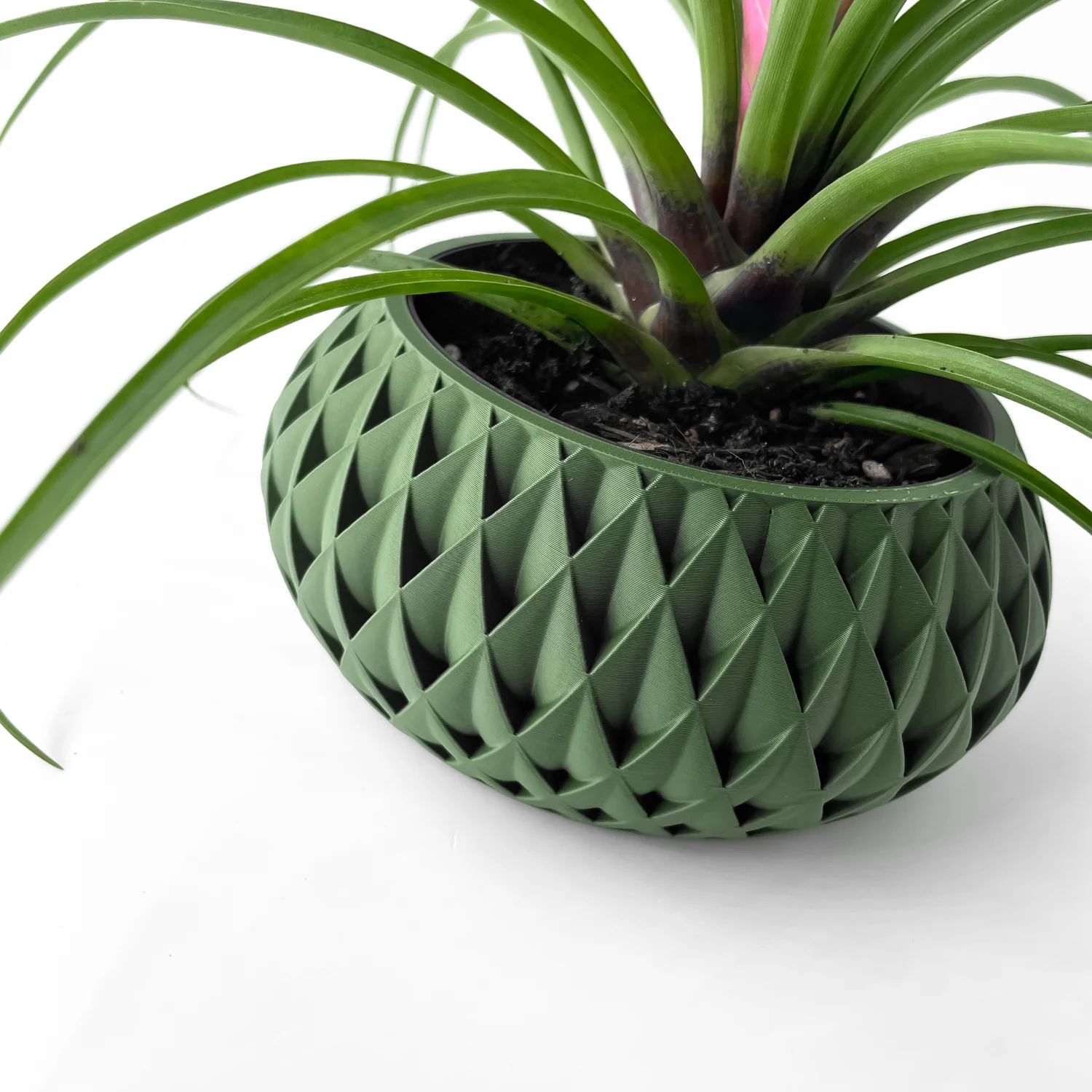 The Figleaf  Pot - Image 6