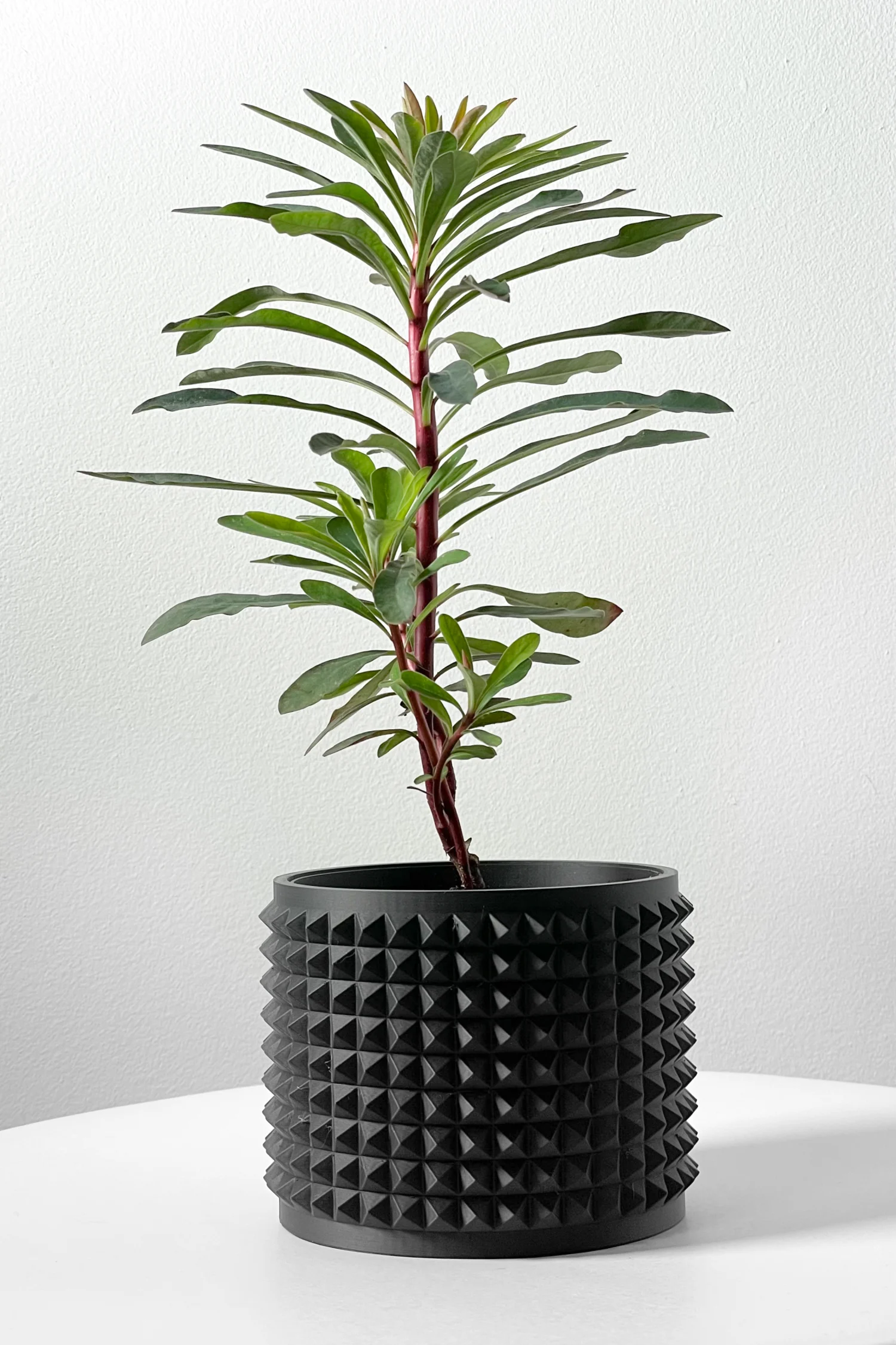 The Fioren Pot - Image 7