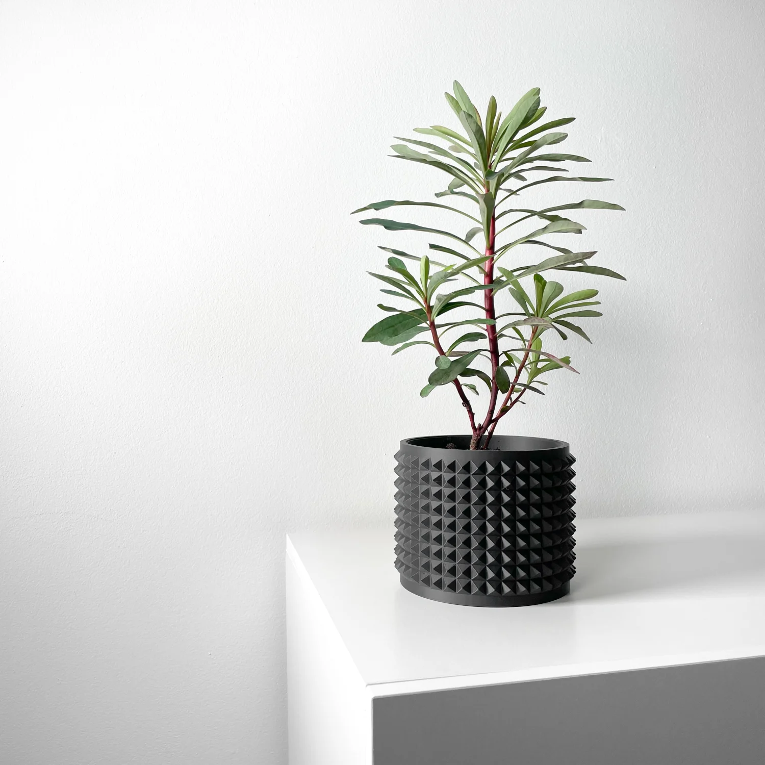 The Fioren Pot - Image 6