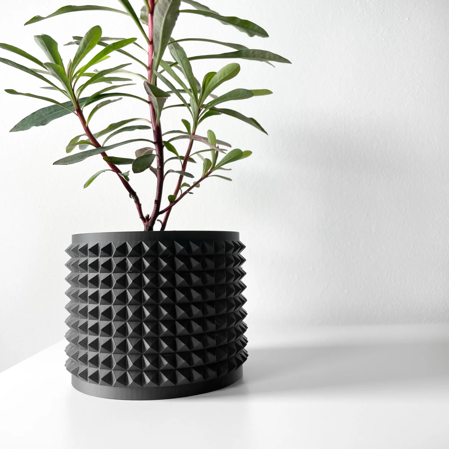 The Fioren Pot - Image 5
