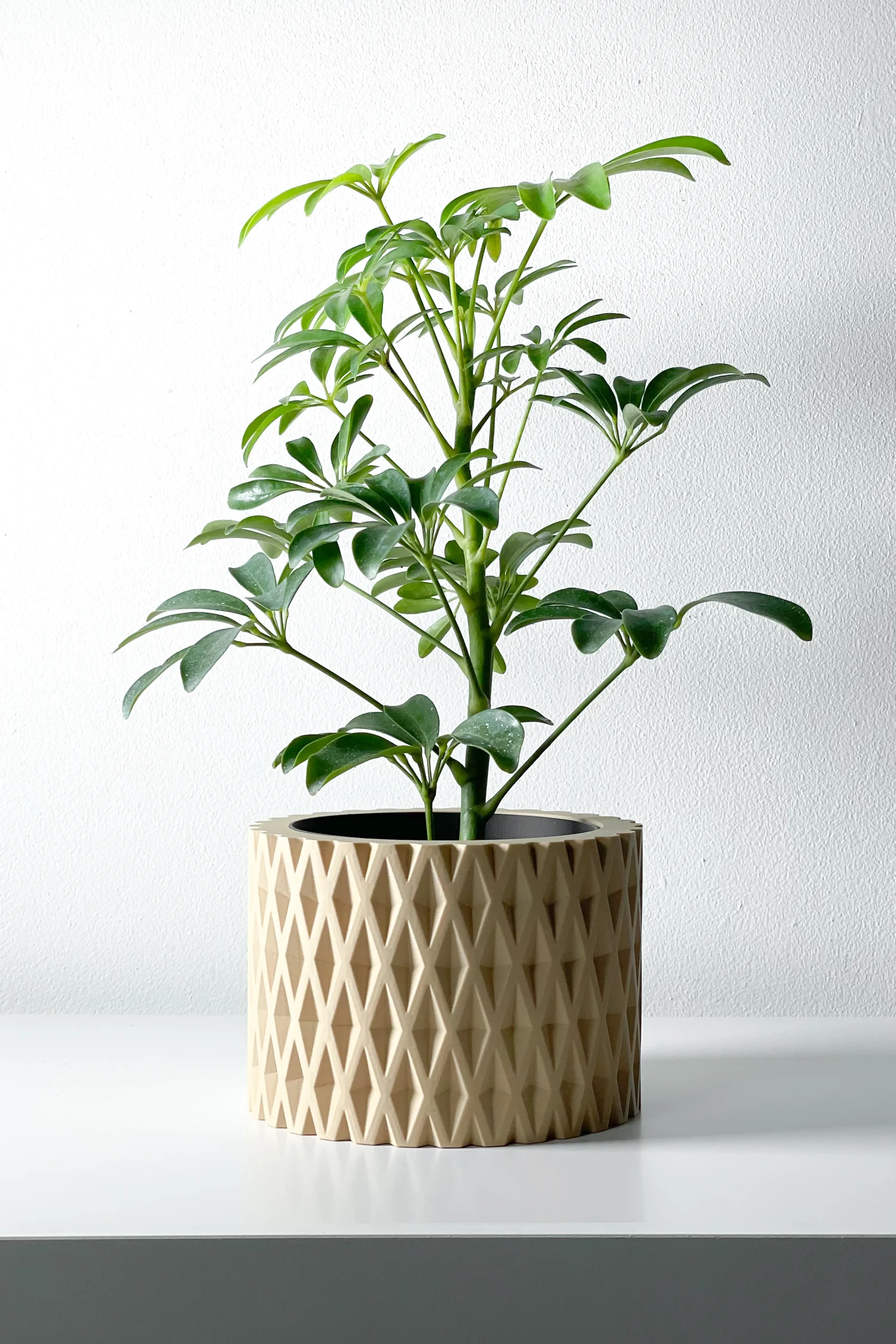 The Fjell Pot - Image 7