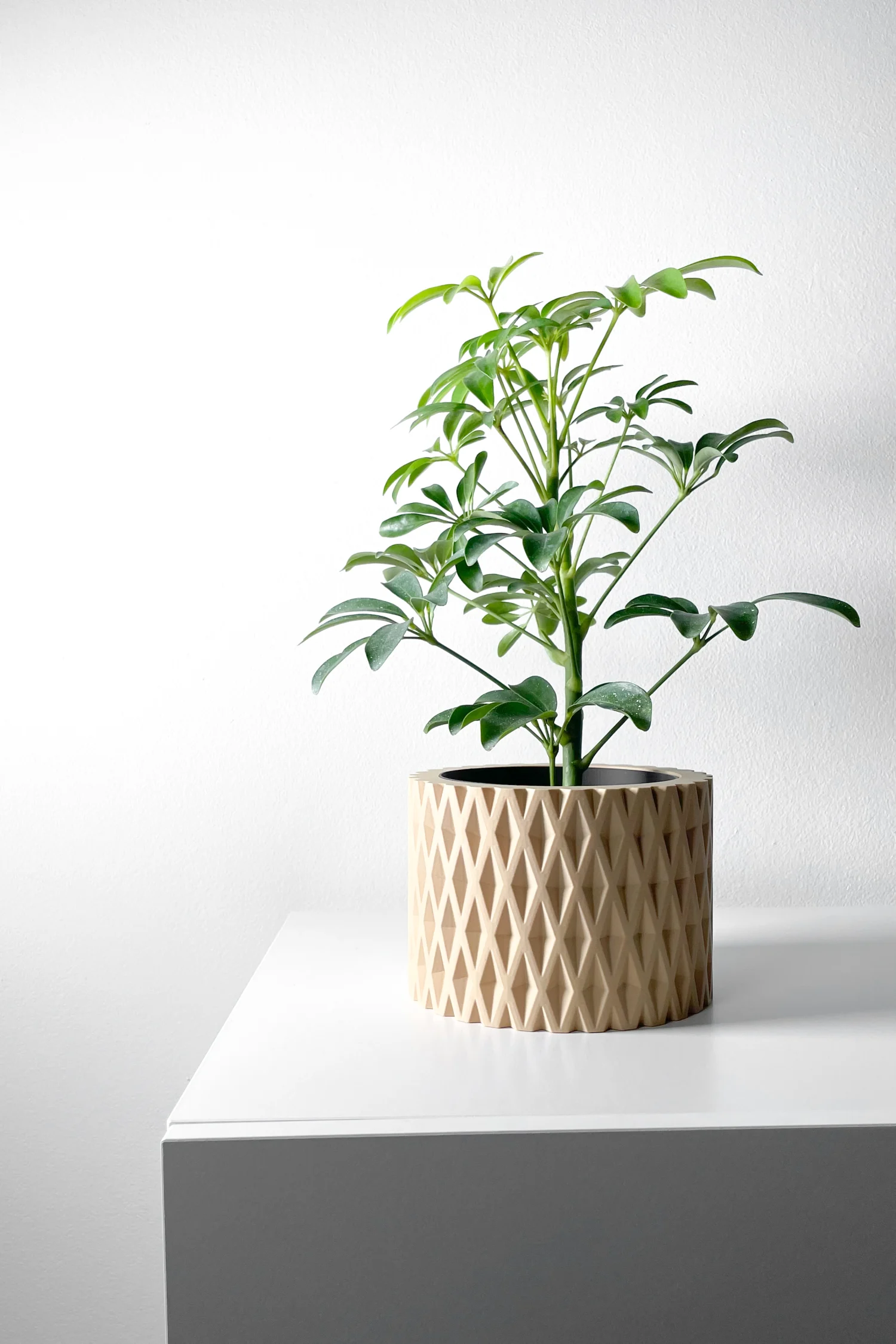 The Fjell Pot - Image 6