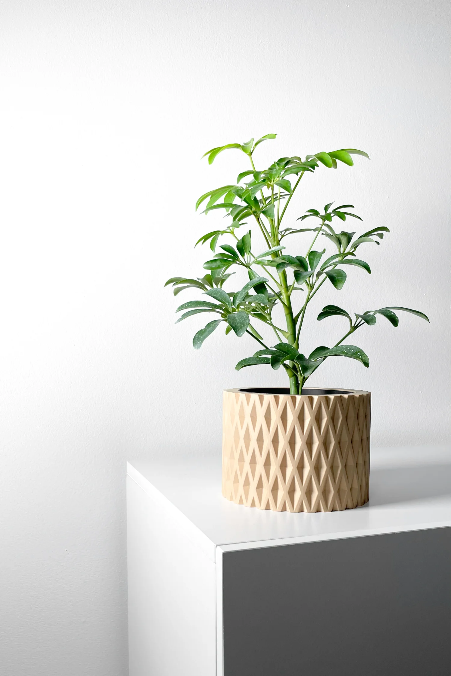 The Fjell Pot - Image 5