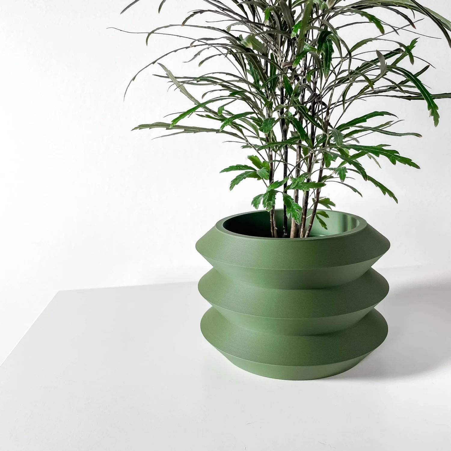 The Forsythia Pot - Image 5