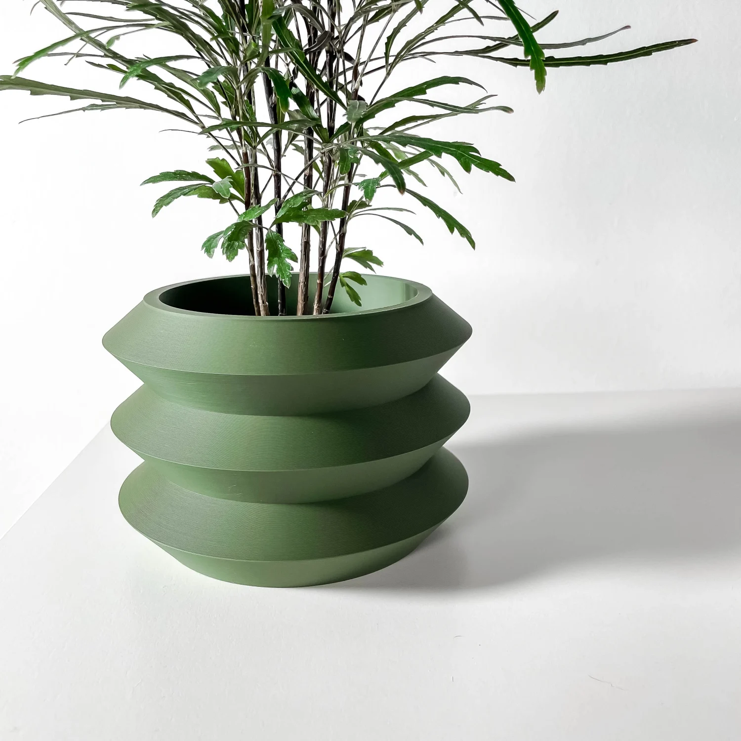 The Forsythia Pot - Image 6