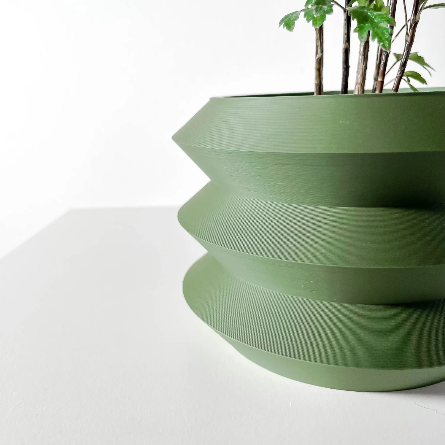 The Forsythia Pot - Image 4