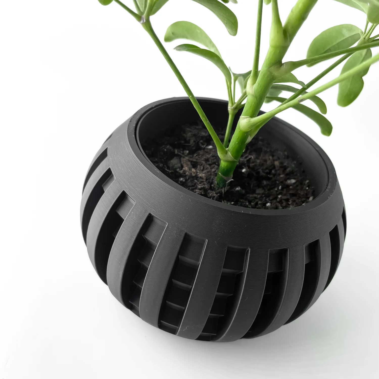 The Galenor  Pot - Image 5