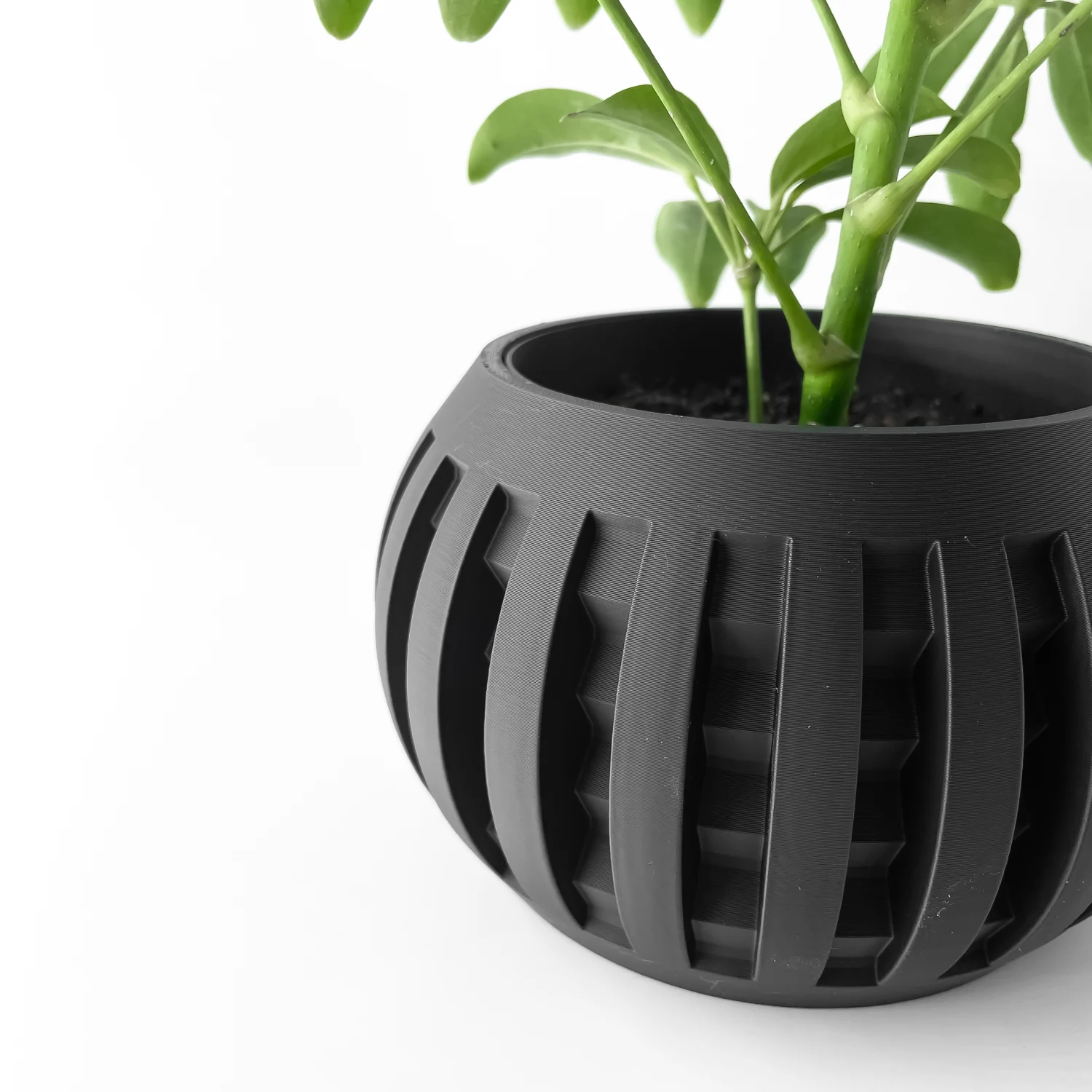The Galenor  Pot - Image 4