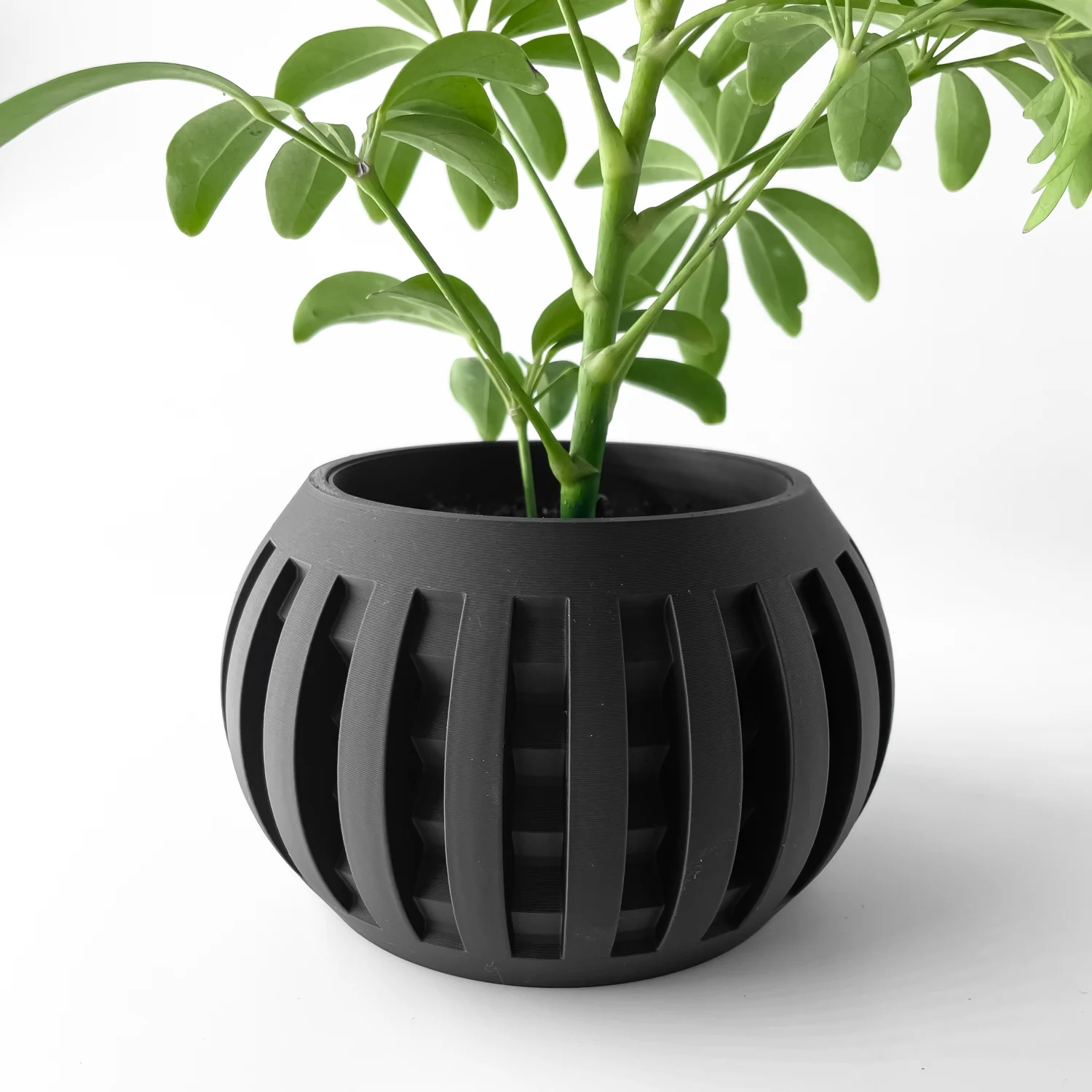 The Galenor  Pot - Image 7