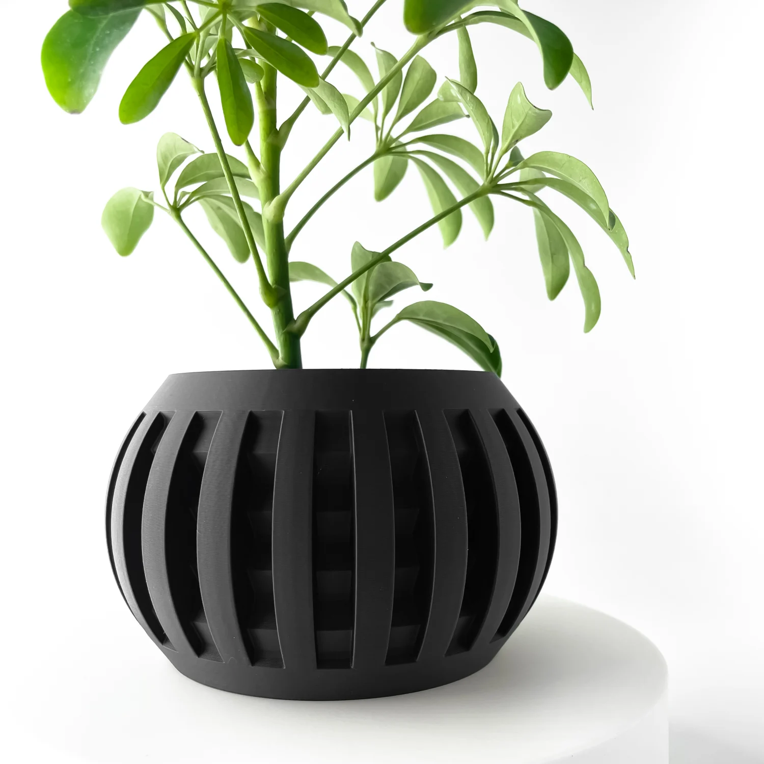 The Galenor  Pot - Image 6