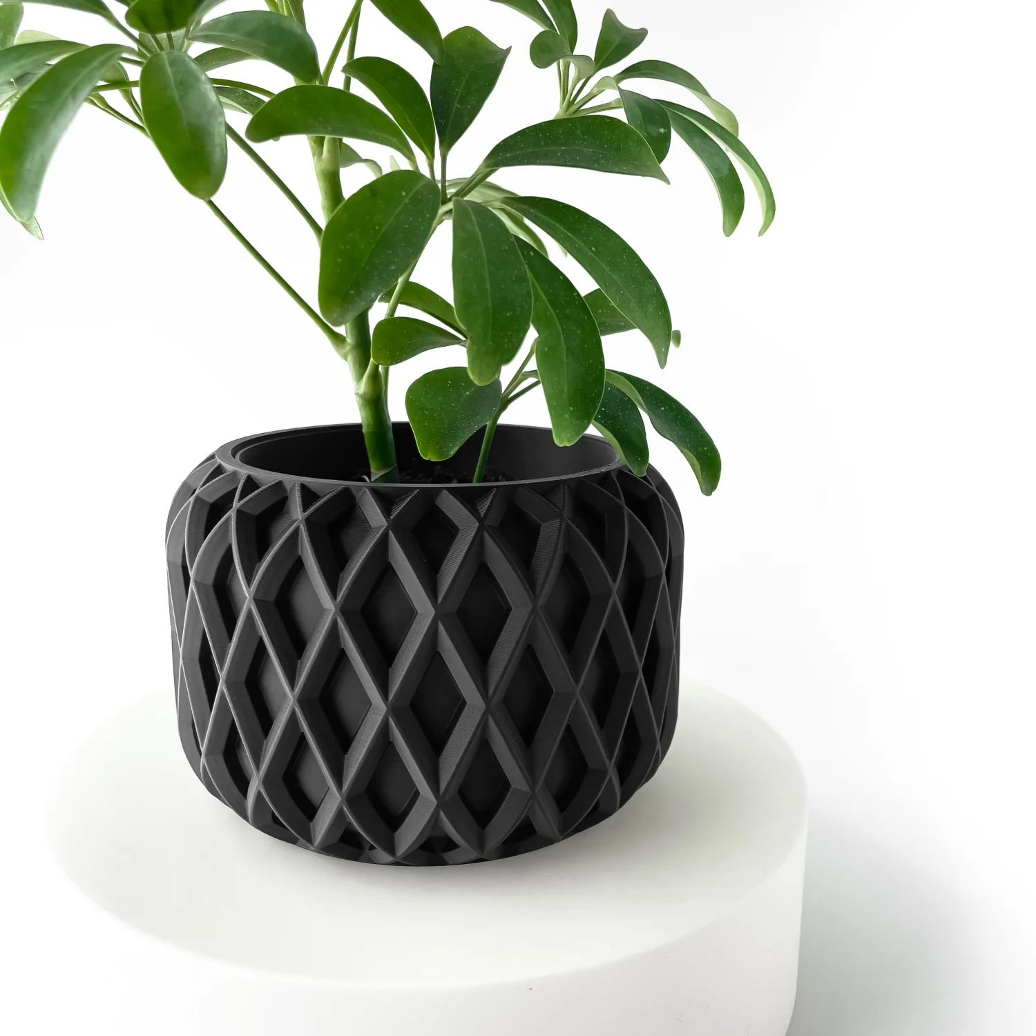 The Gildor Pot - Image 7