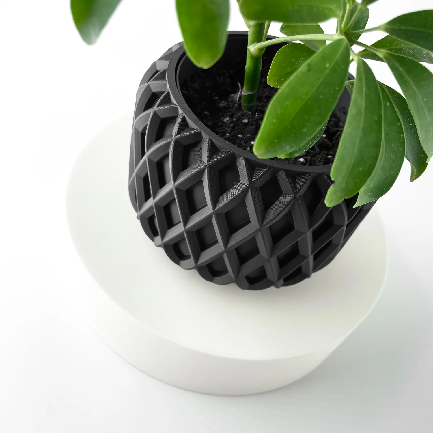 The Gildor Pot - Image 5