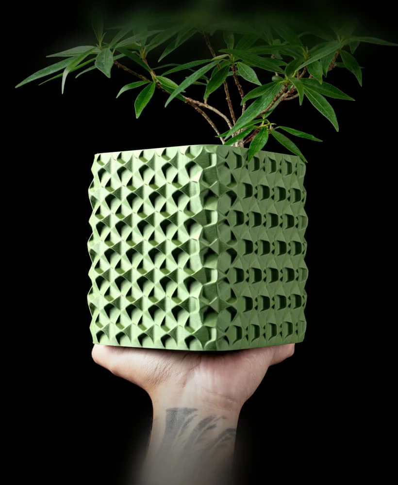 The Ilaria Pot - Image 2