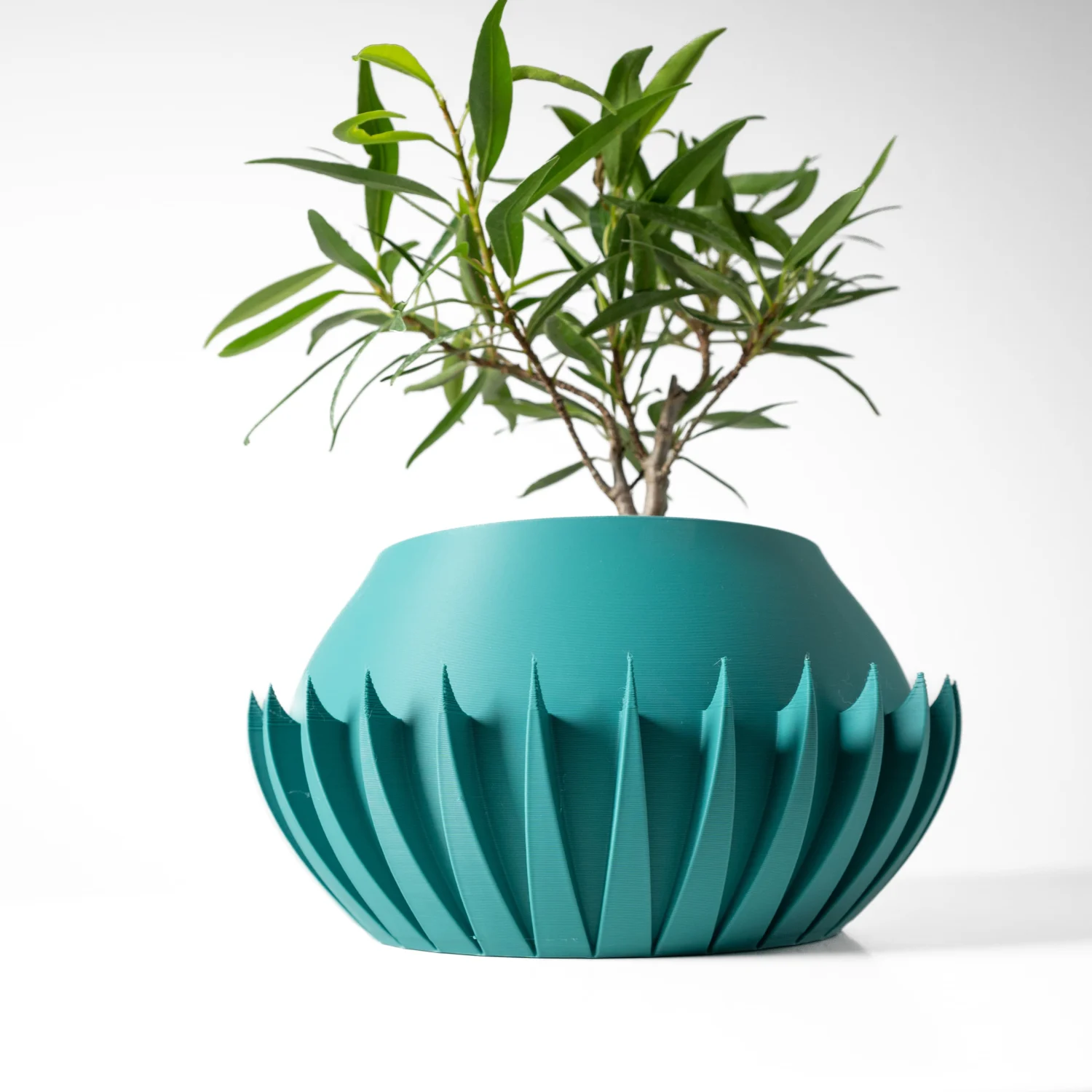 The Inga Pot - Image 2