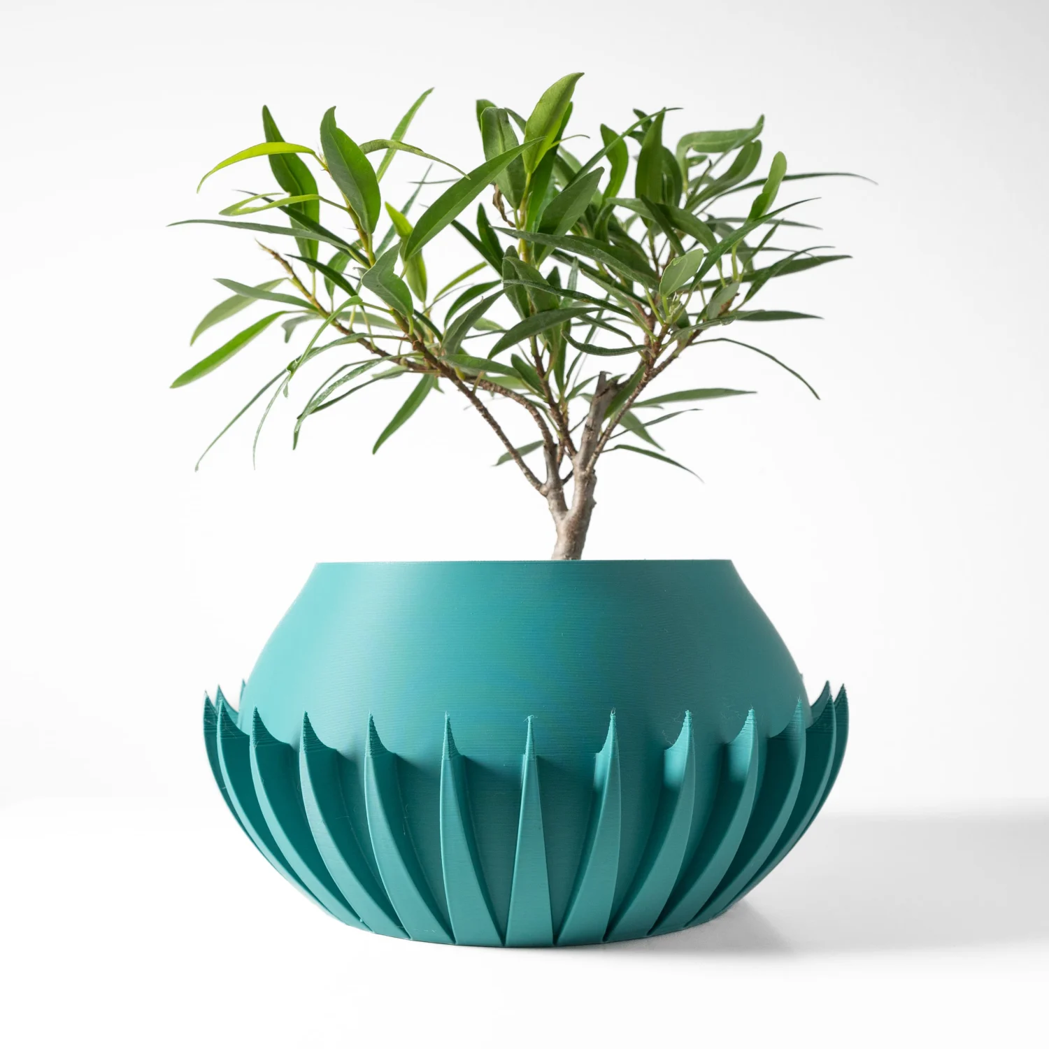 The Inga Pot