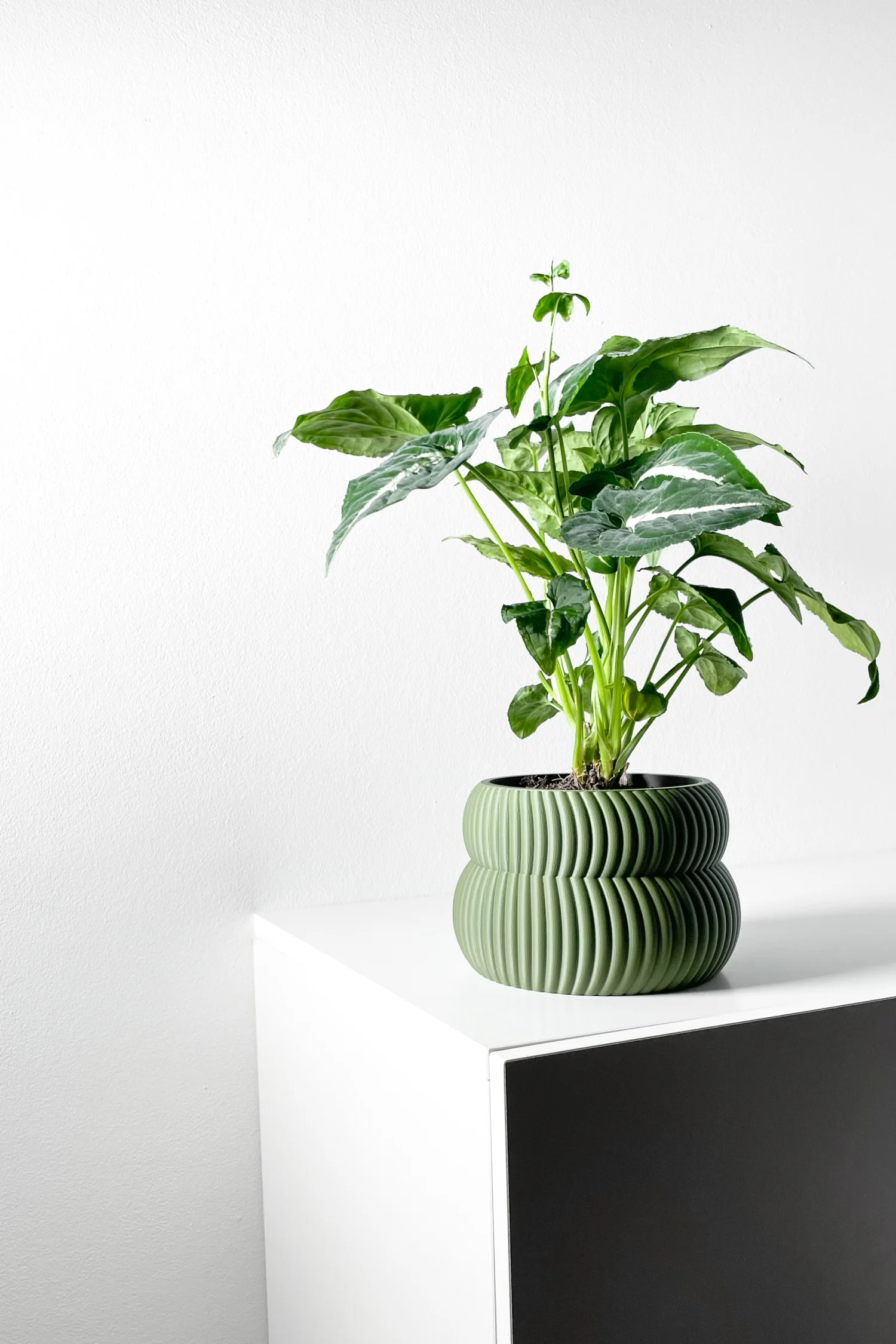 The Iris Pot - Image 2