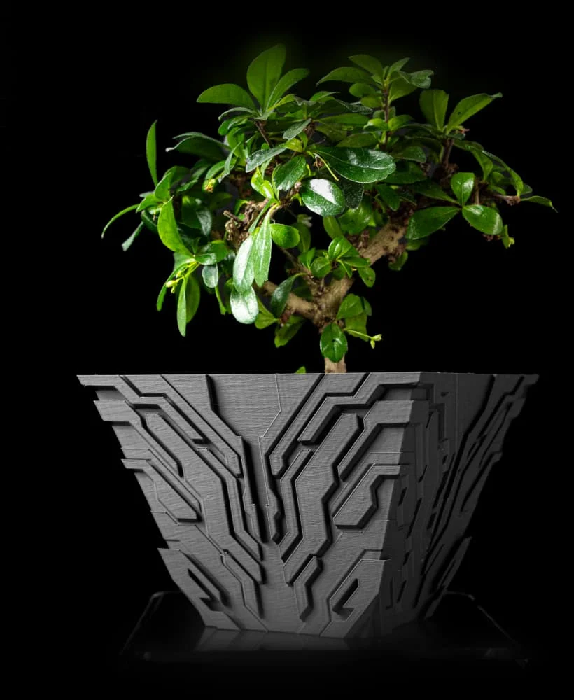 The Kairox  Pot
