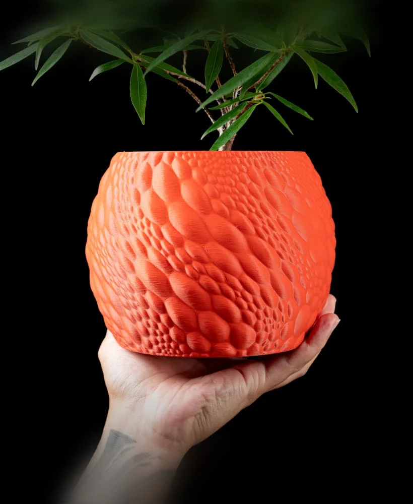 The Kian  Pot - Image 2