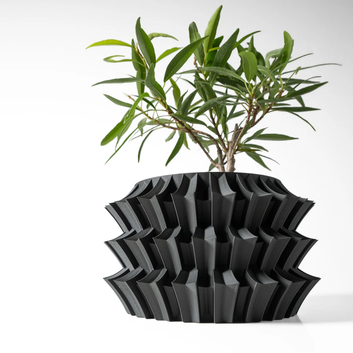 The Lavor  Pot - Image 2