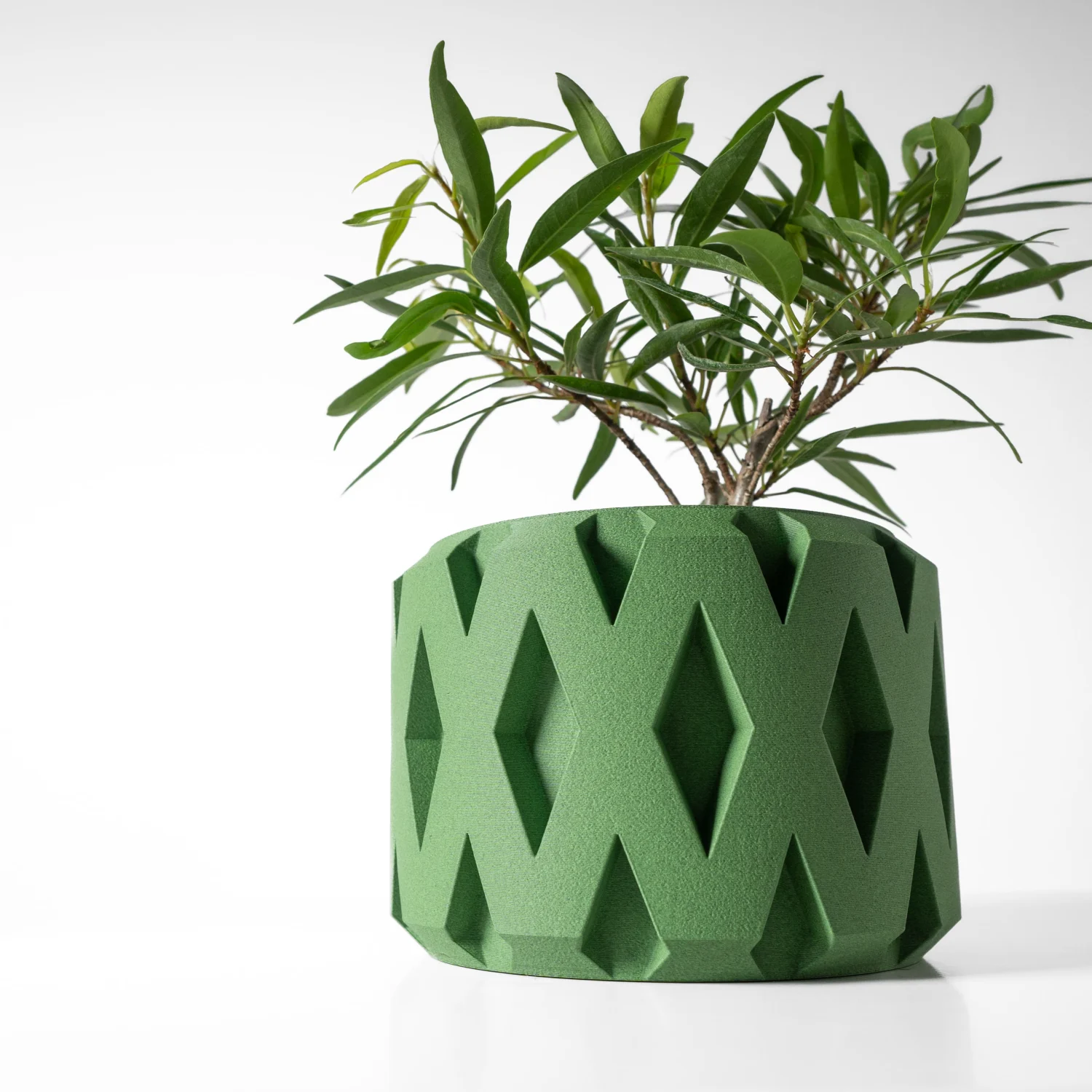 The Leona Pot - Image 2