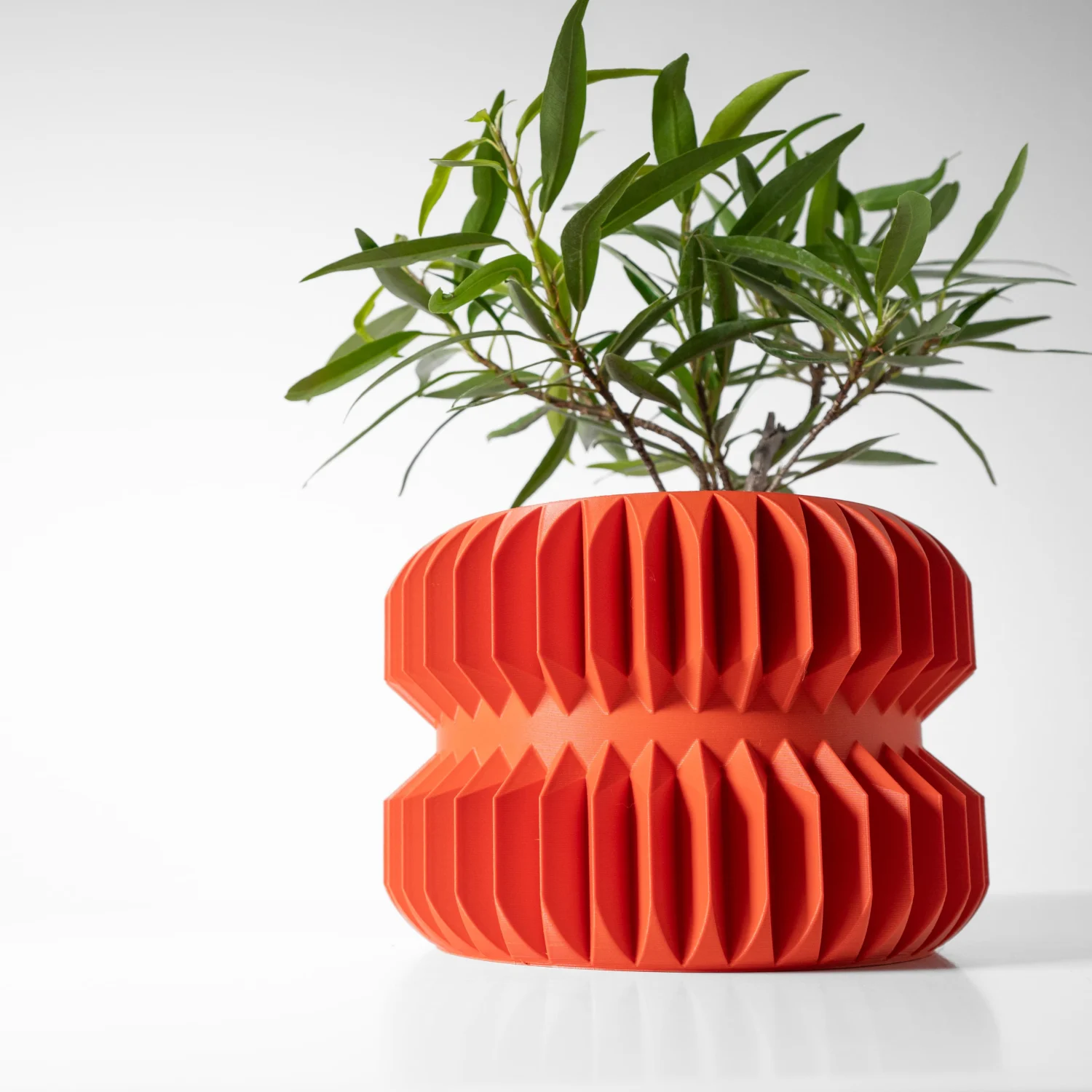 The Linn  Pot - Image 2