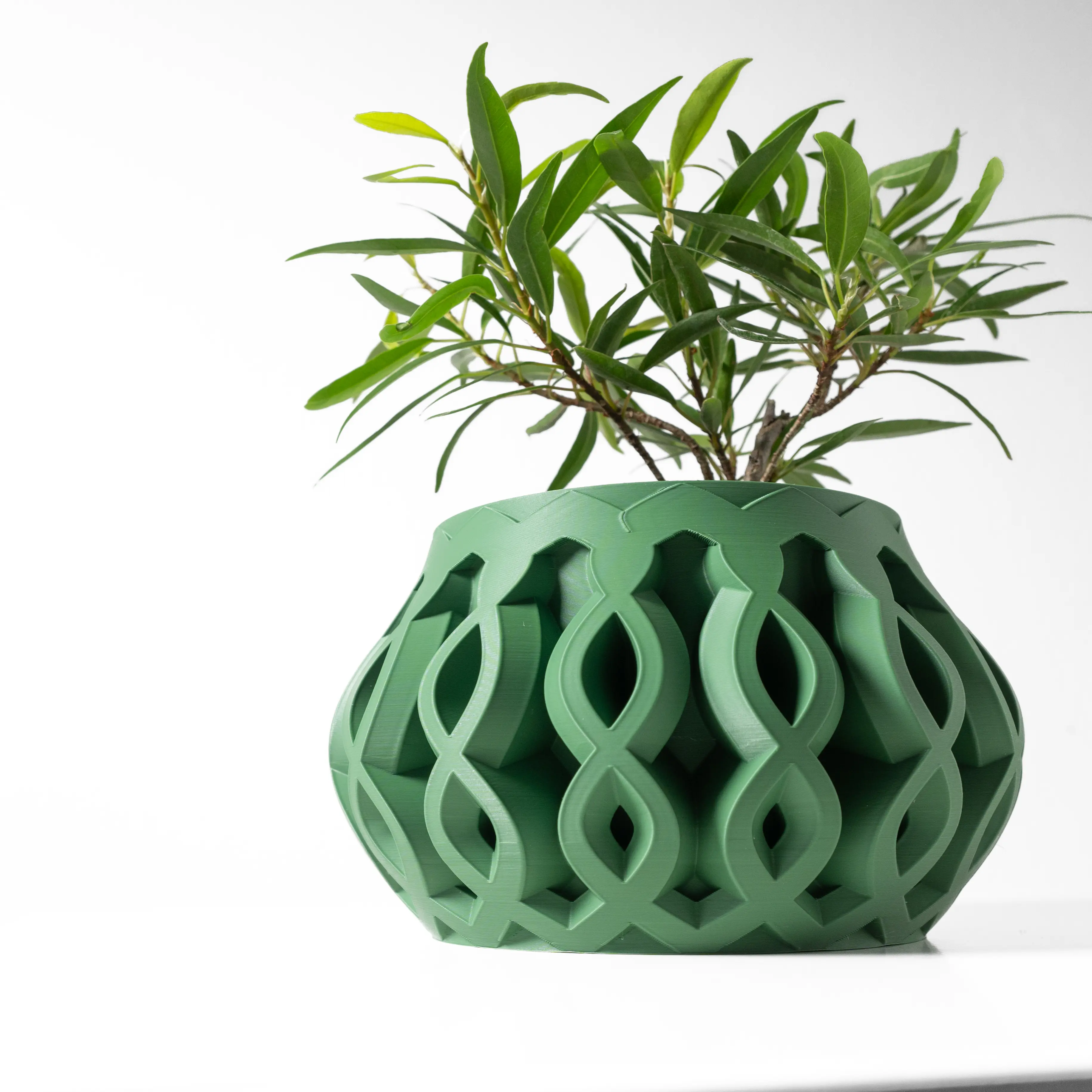 The Lorien Pot - Image 2