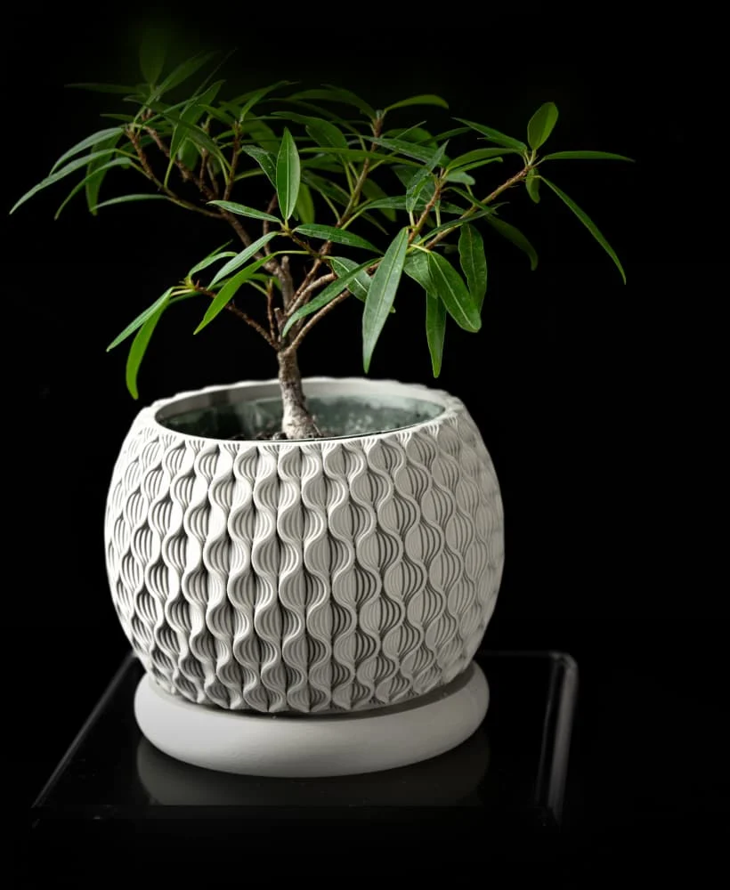 The Lurion  Pot - Image 2