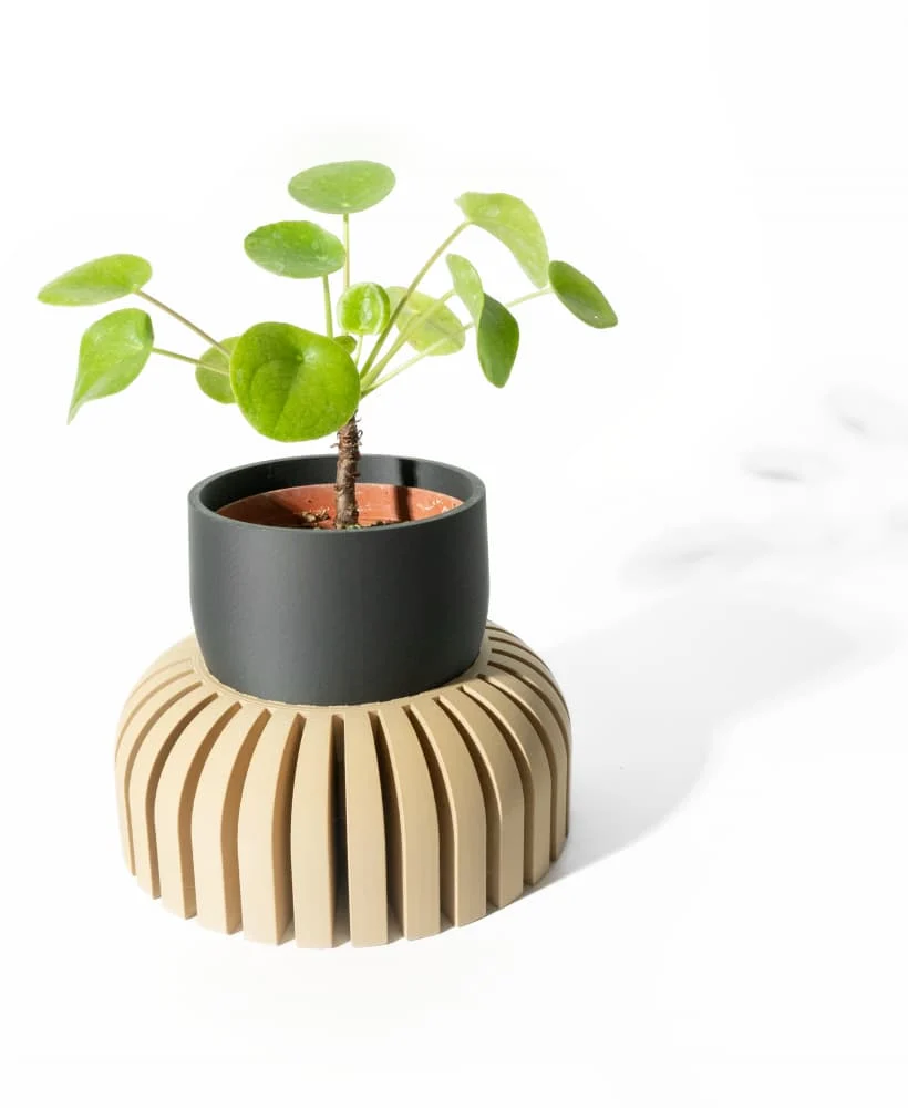 The Maelle Pot - Image 2