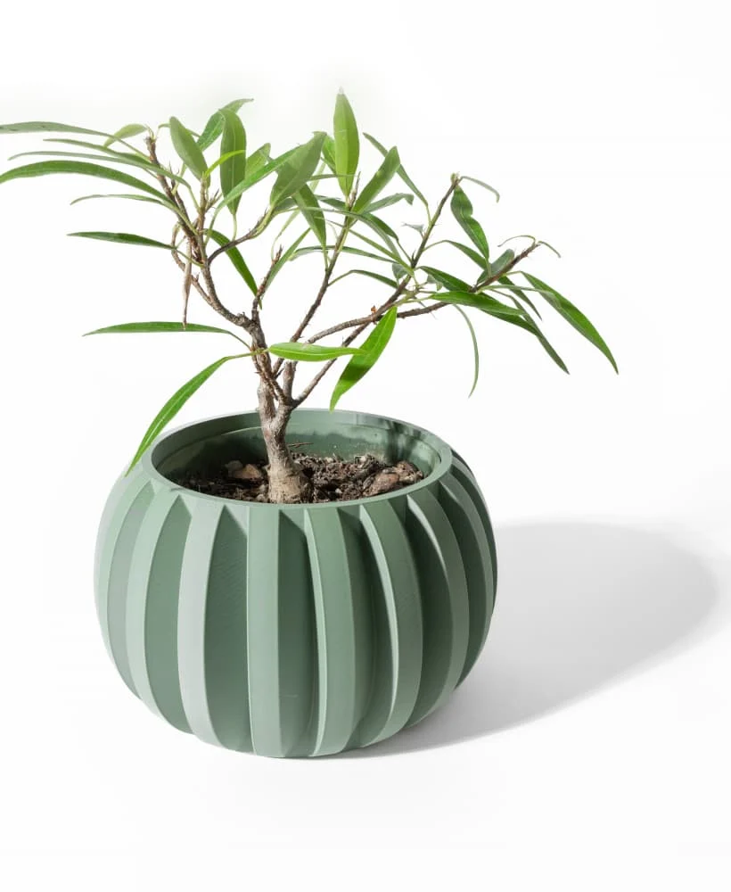 The Maplewood  Pot - Image 2