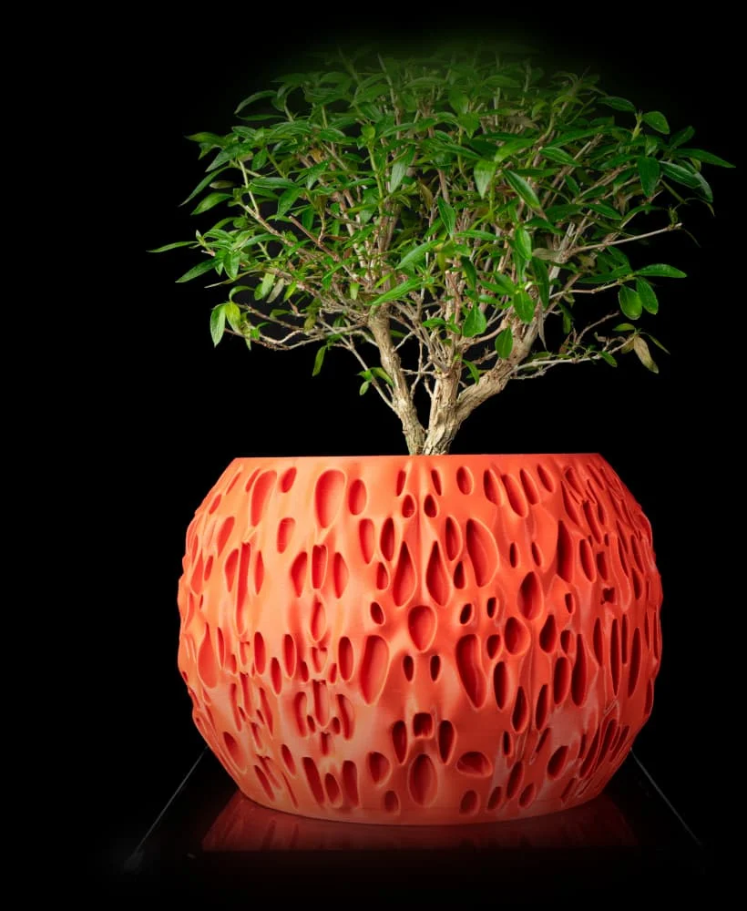 The Maren Pot - Image 2