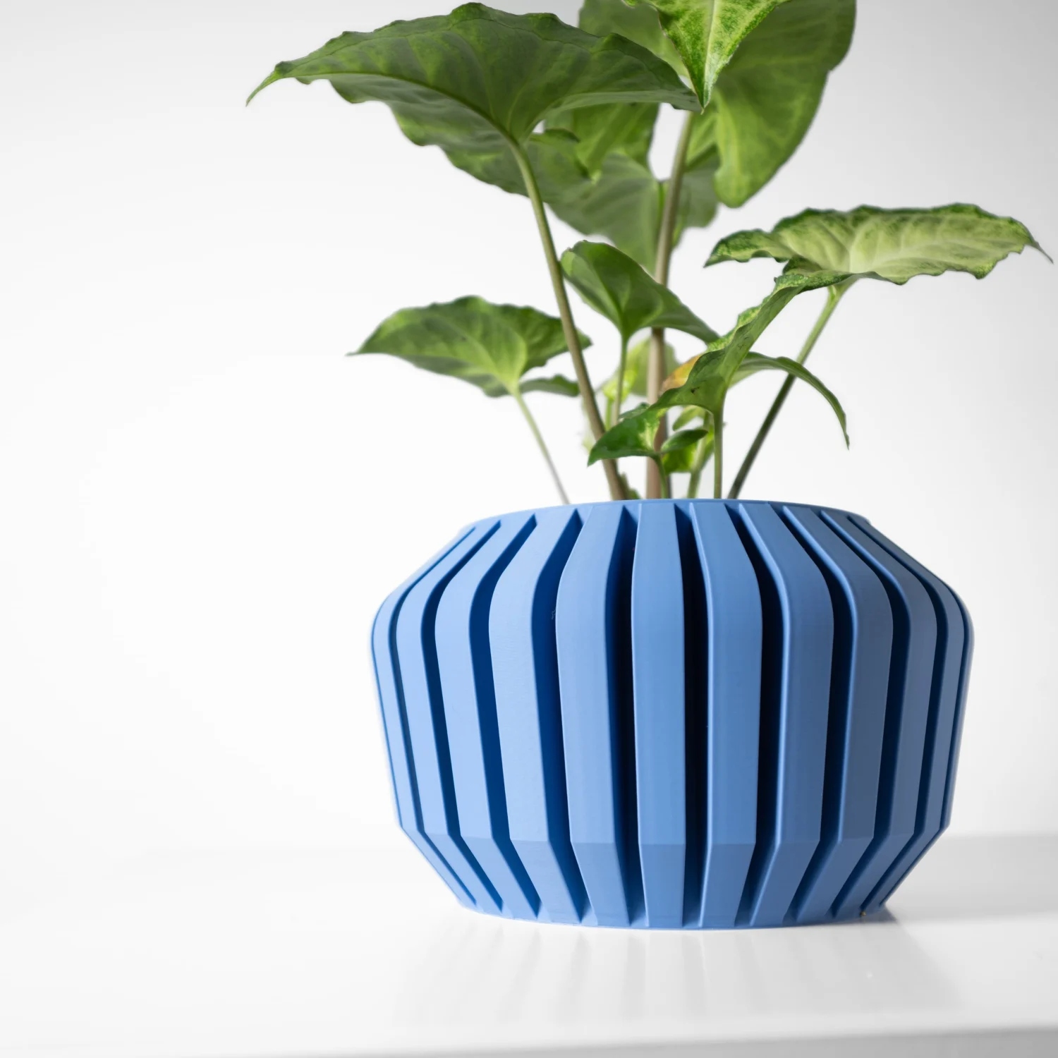The Maribel  Pot - Image 2