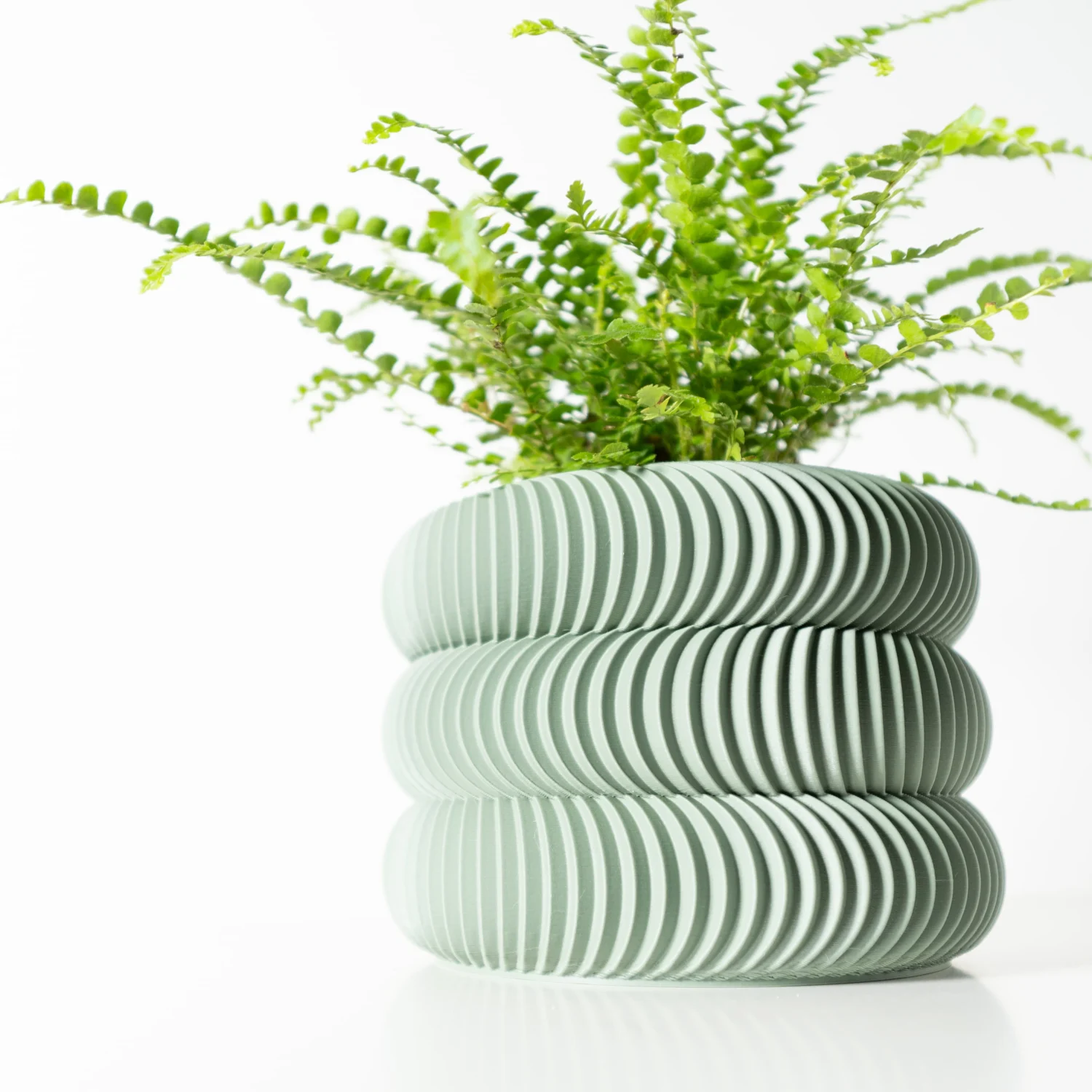 The Marigold  Pot - Image 2