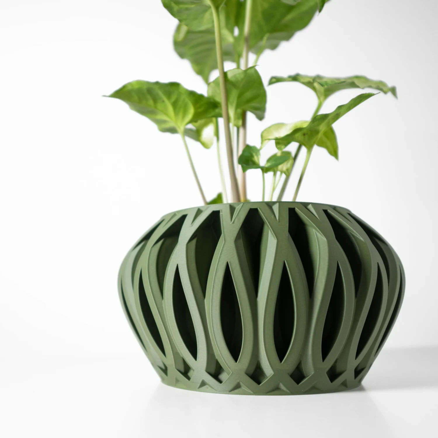 The Melina  Pot - Image 2