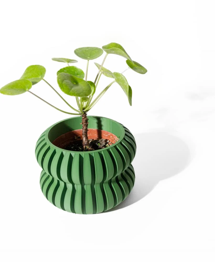 The Melvion  Pot - Image 2