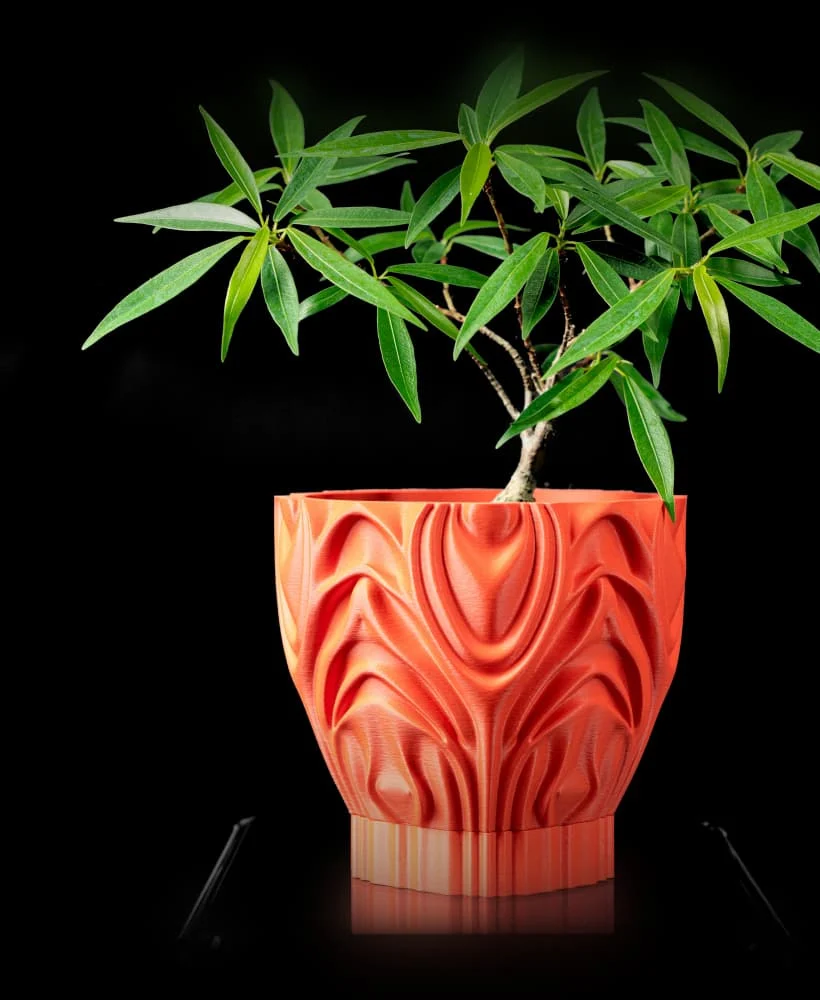 The Meridian Pot - Image 2