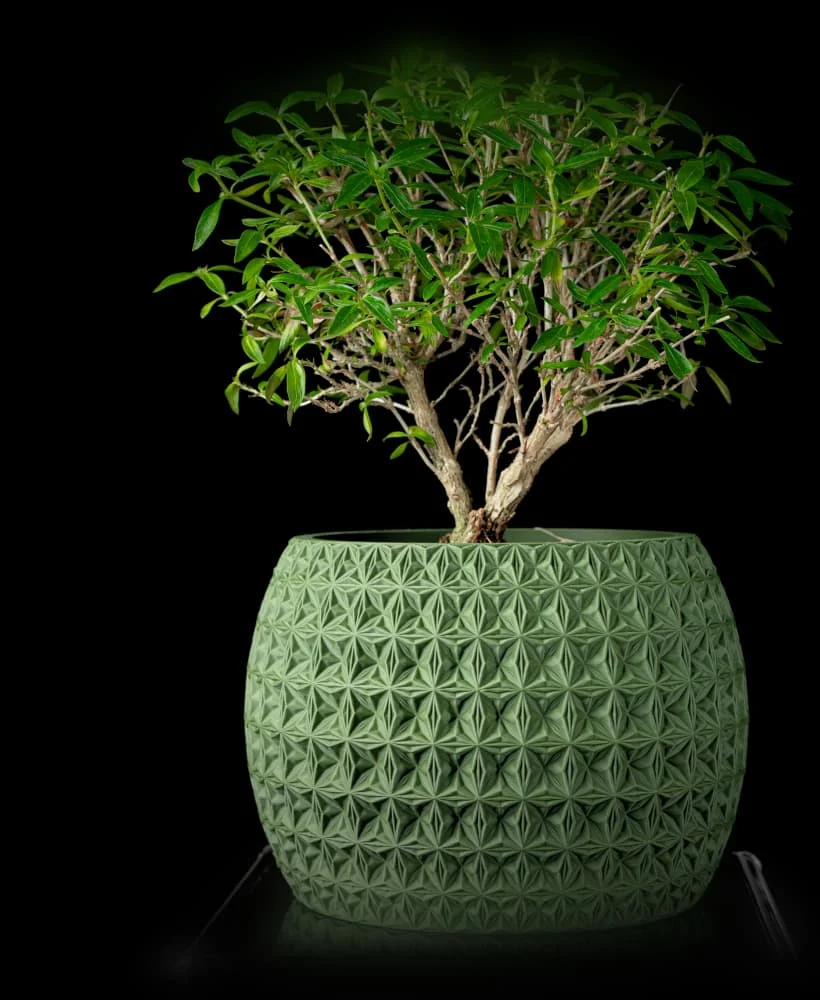 The Mira Pot - Image 2